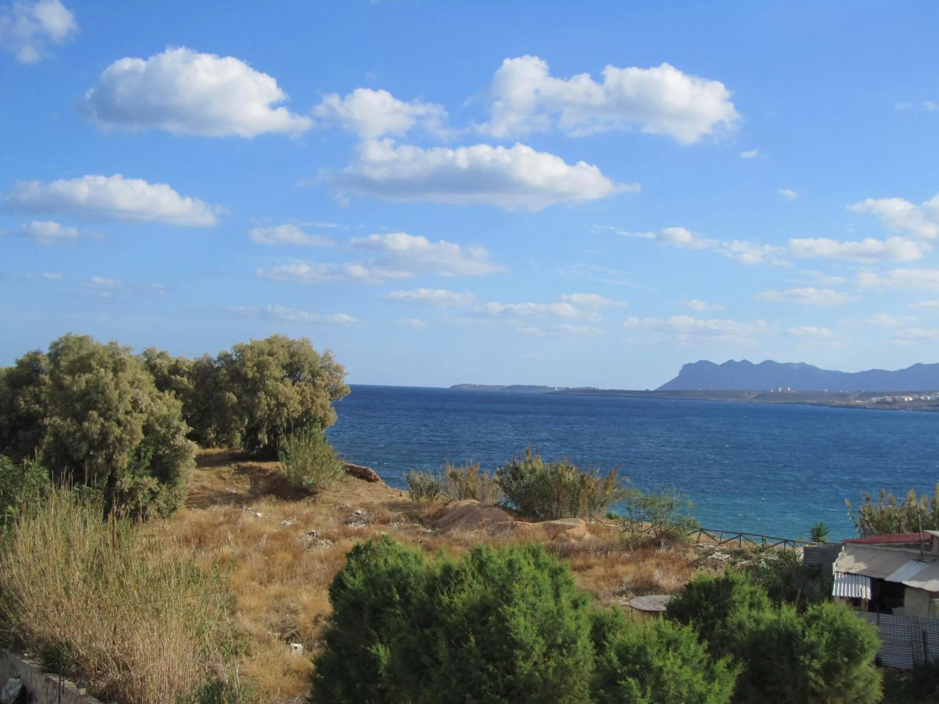 Balcony/Terrace in Poco Loco Bed & Breakfast