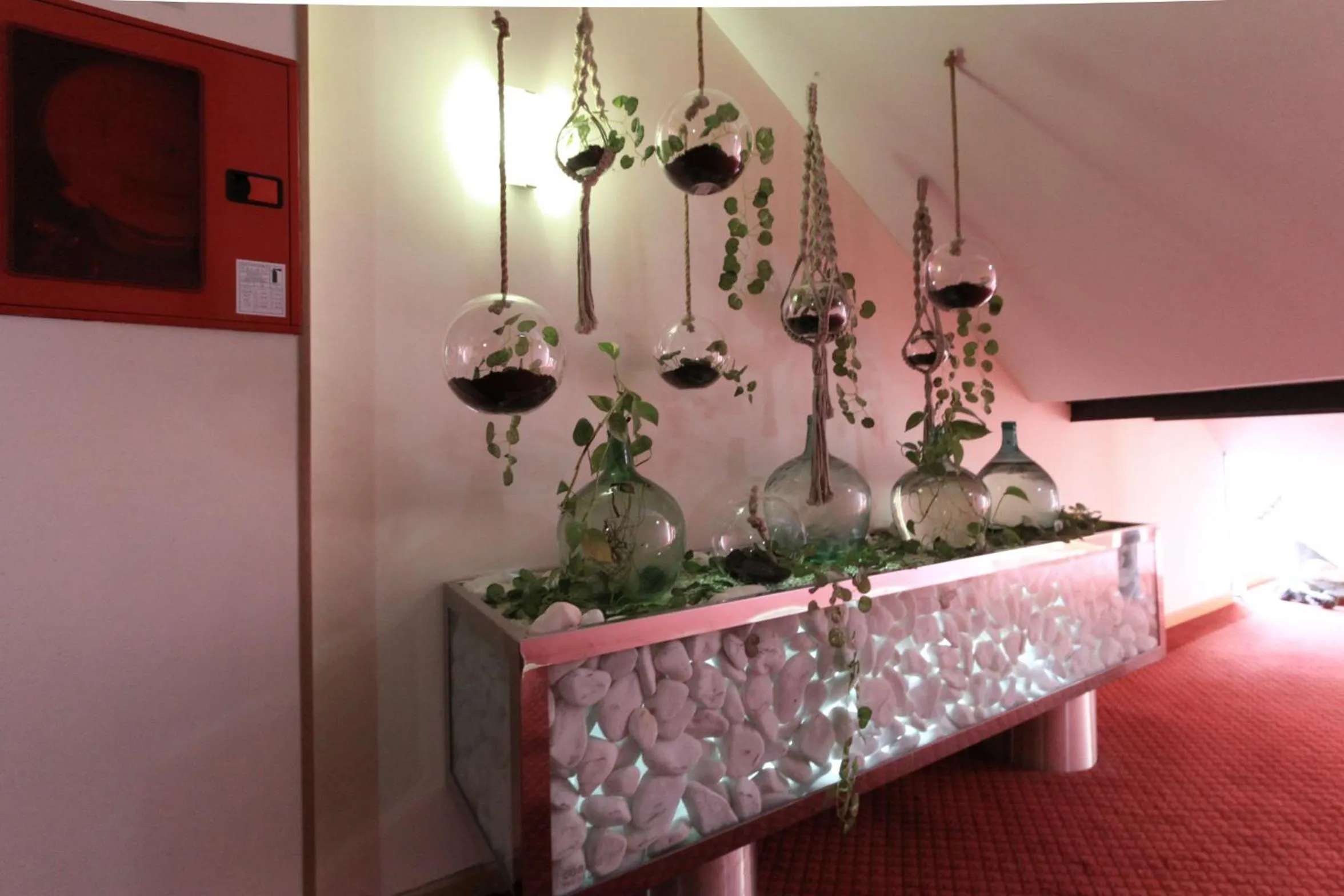 Area and facilities in Peregrina Hotel