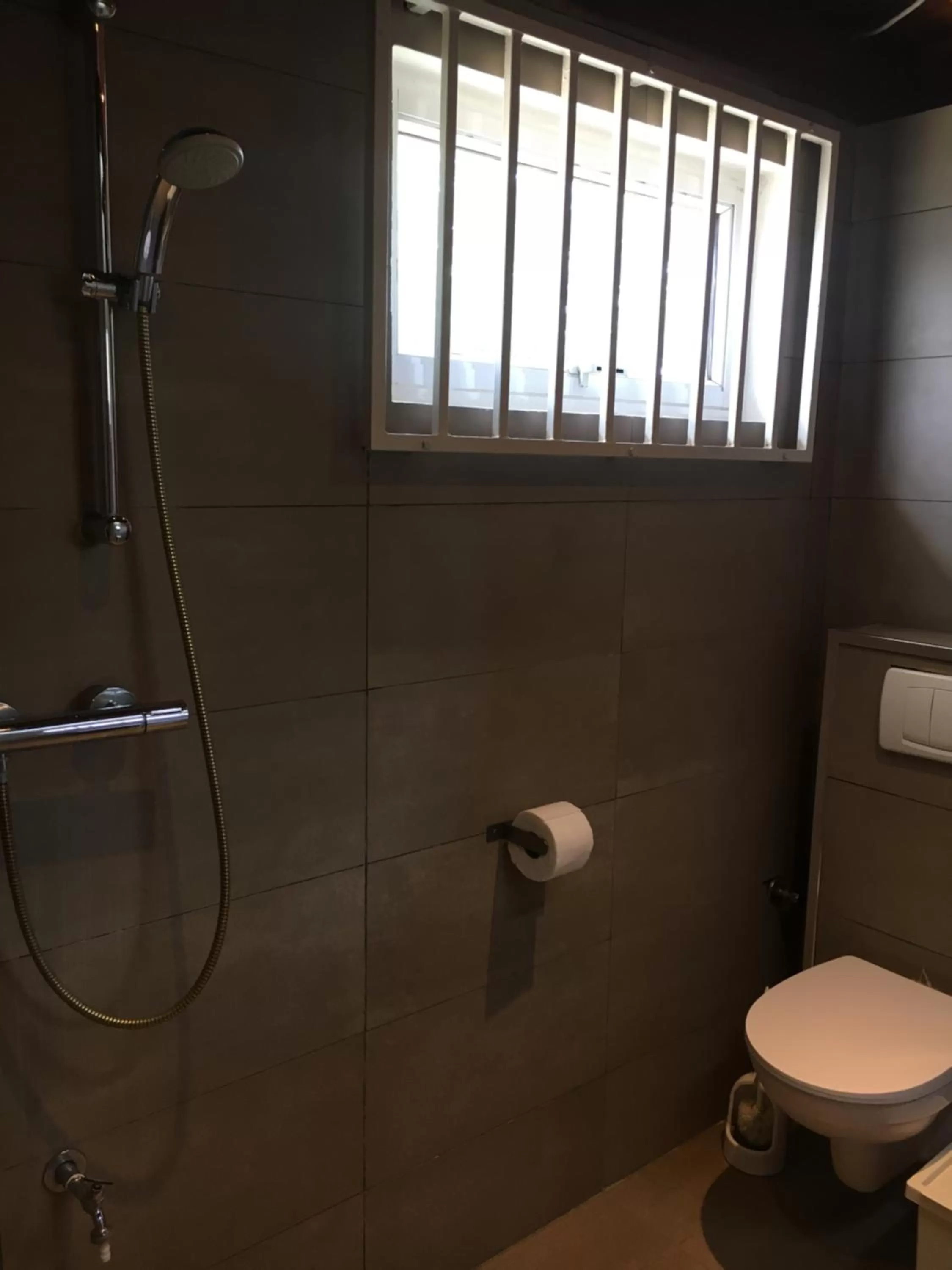 Toilet, Bathroom in Asteria Studios
