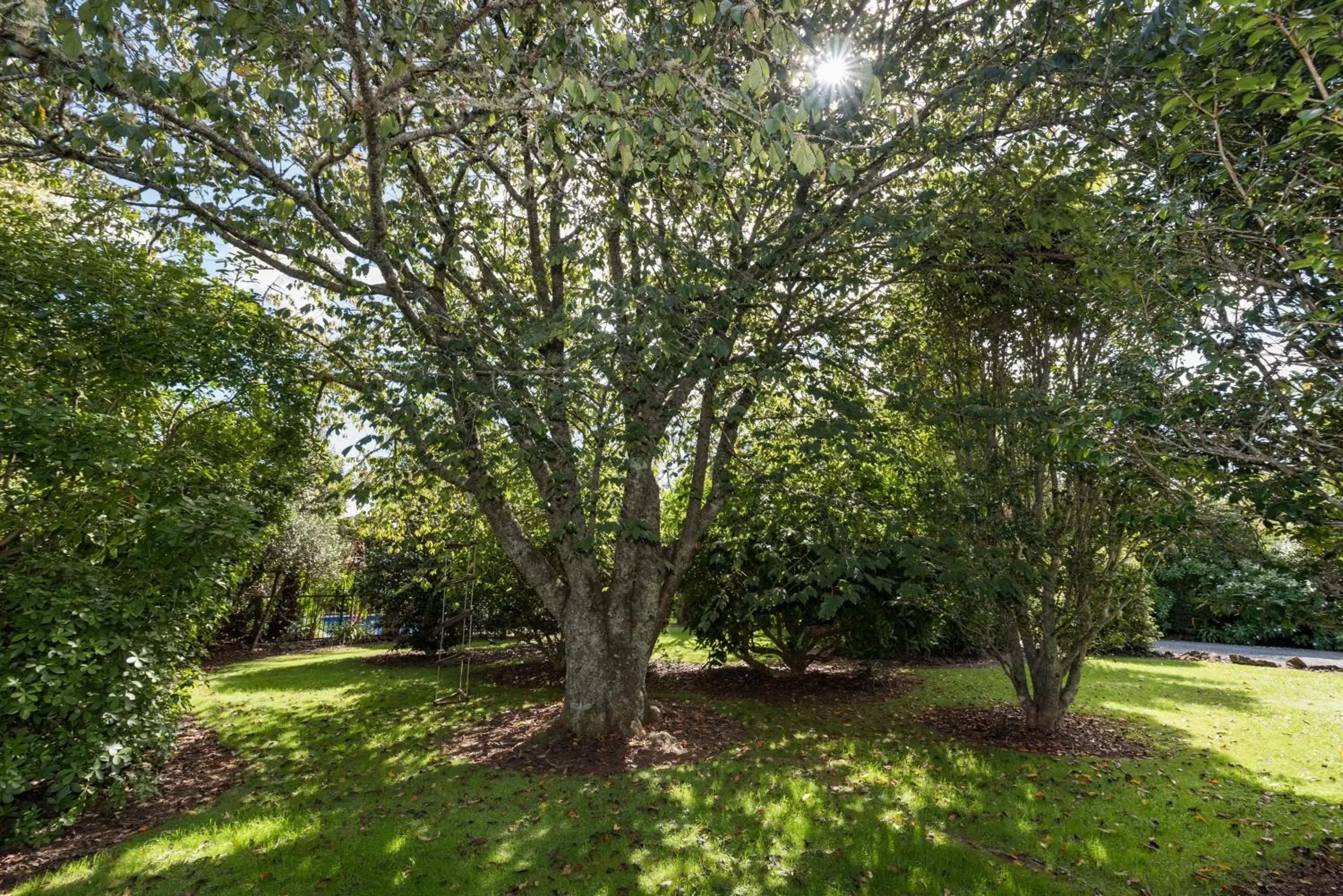 Garden in Kauri Park Motel