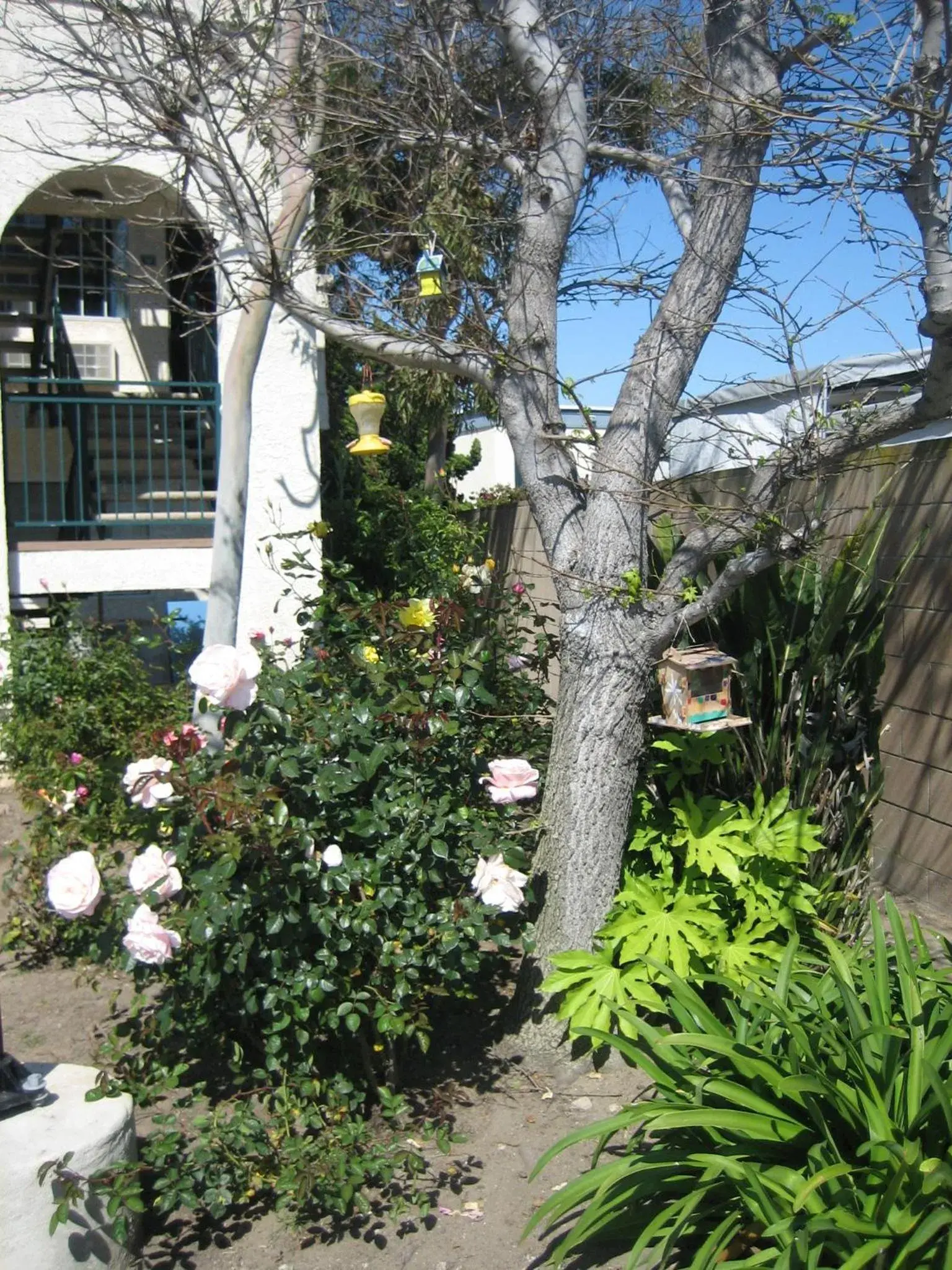 Garden in OceanView Motel