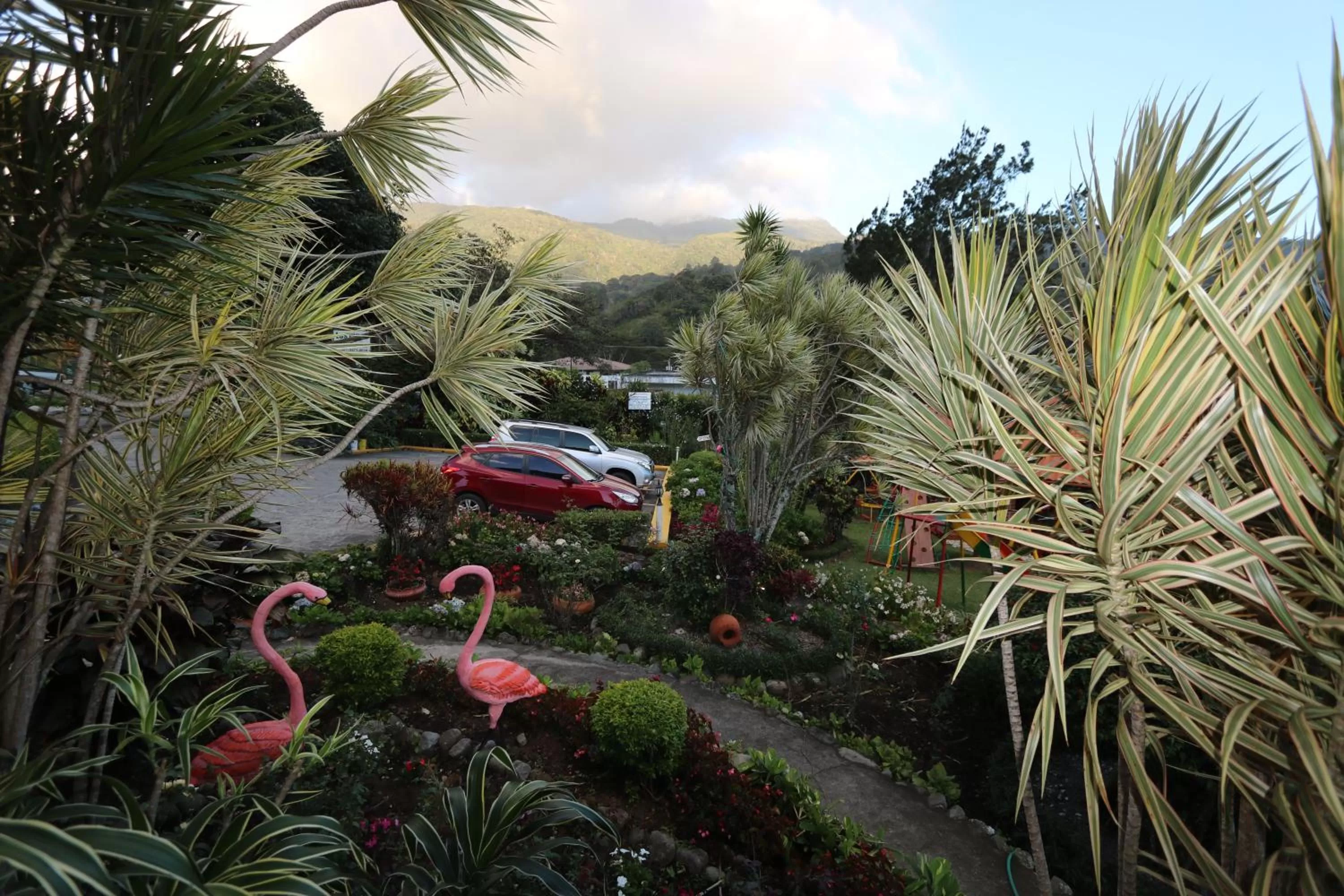 Garden in Aparthotel Los Pinos