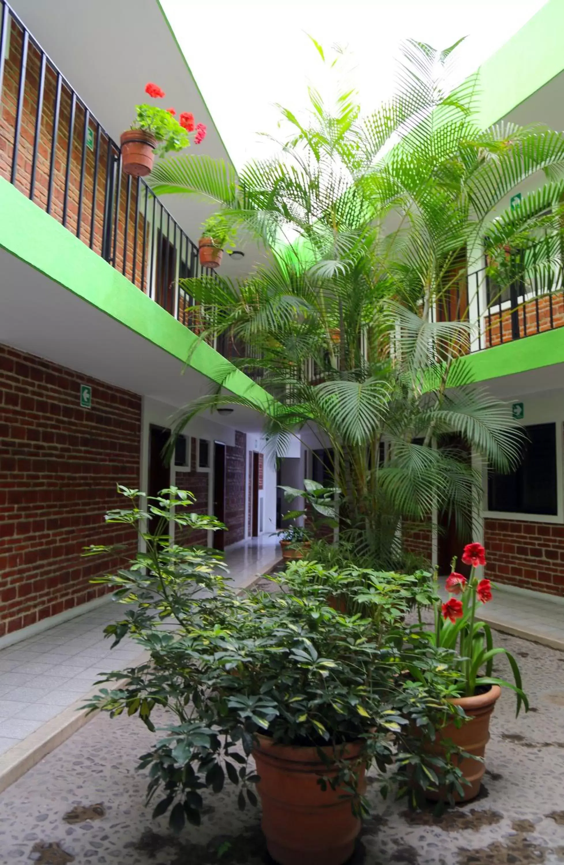 Garden, Property Building in Hotel Arboledas Industrial