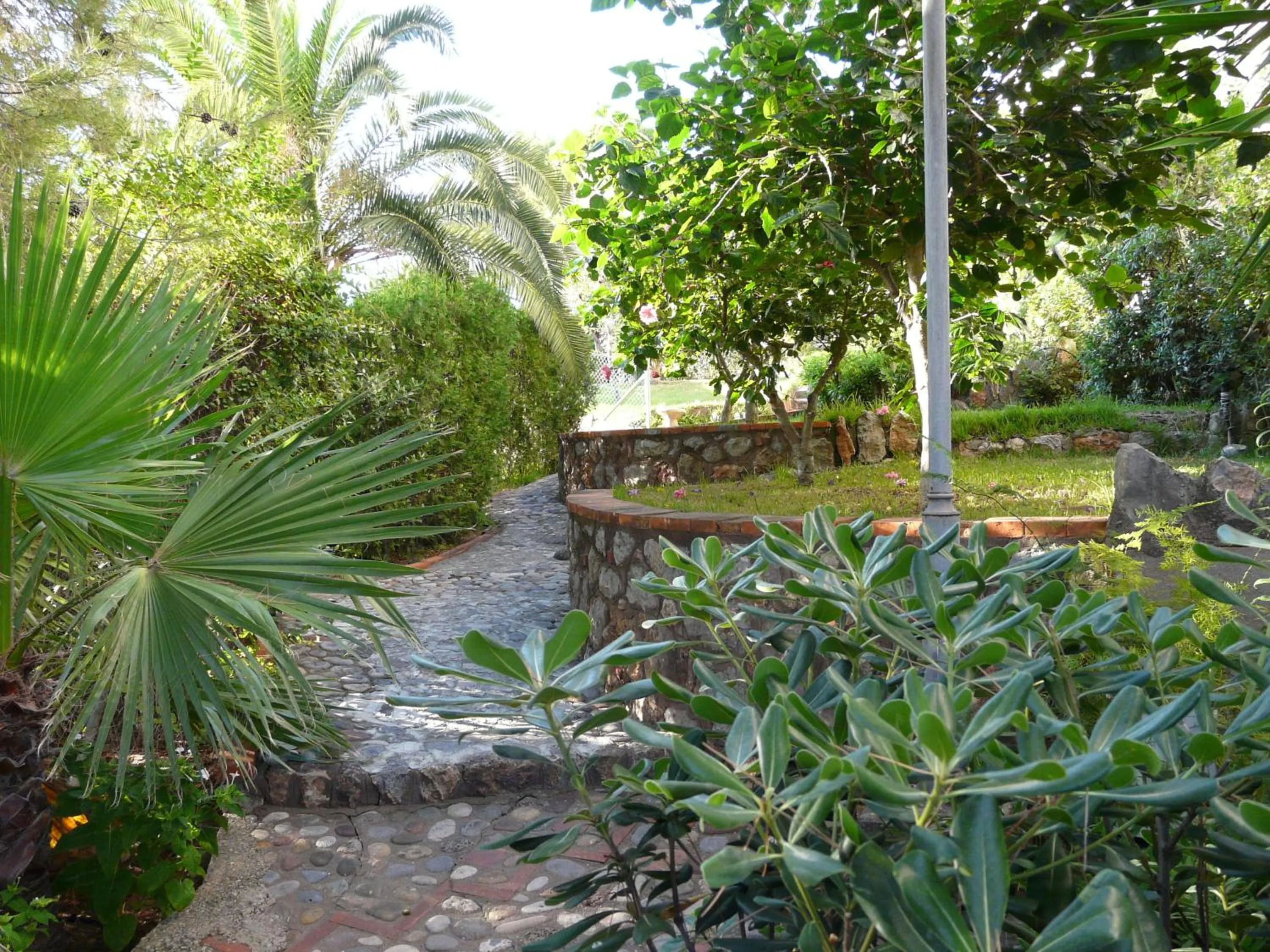 Garden in Hotel Jardín