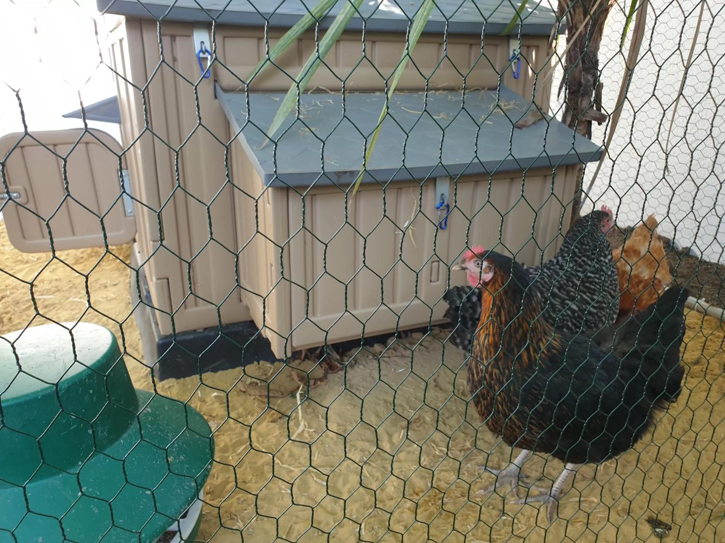 Garden in Best Area Close to Leeds Centre