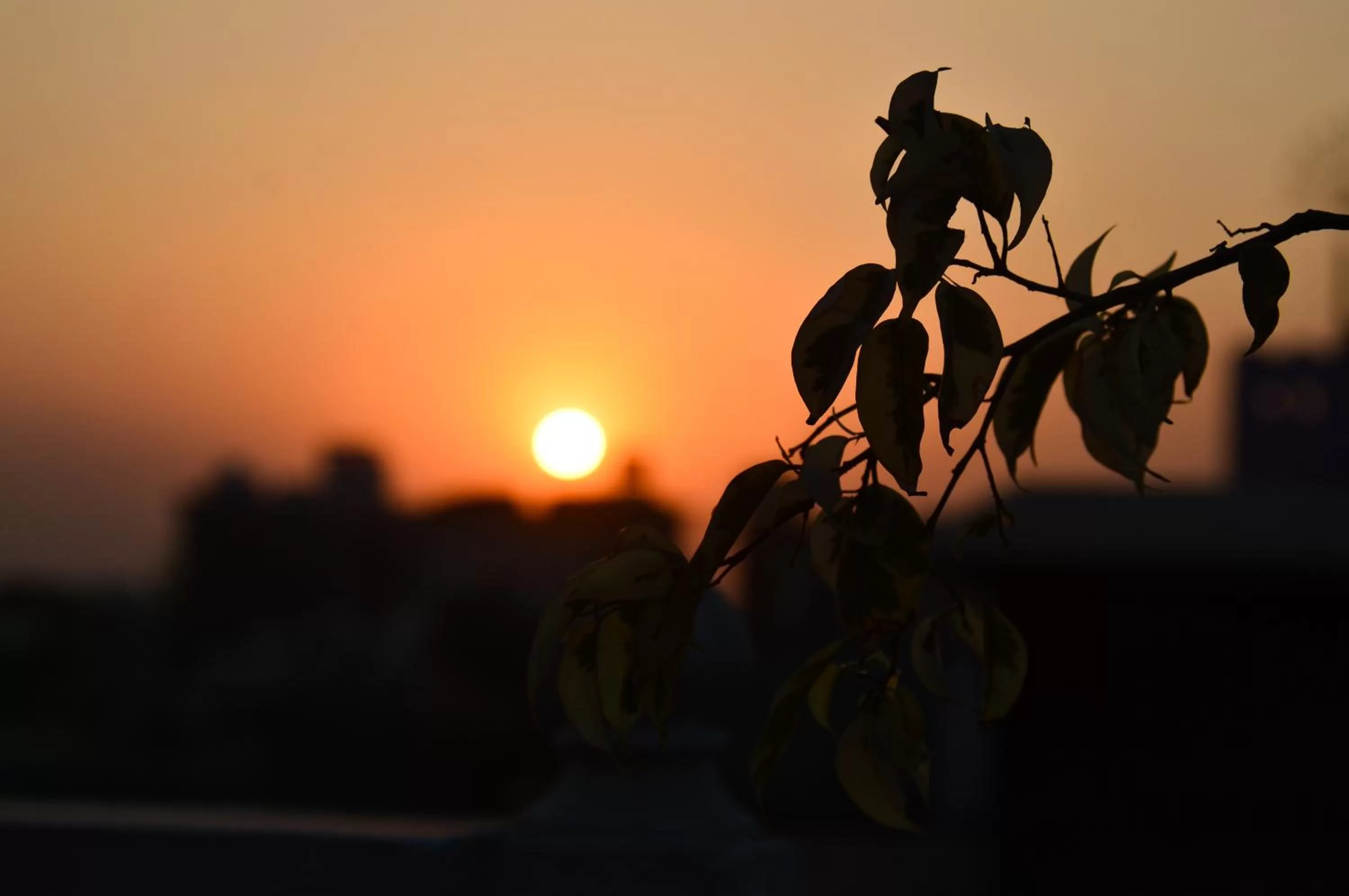 Natural landscape in Chitra Katha - A Story Per Stay