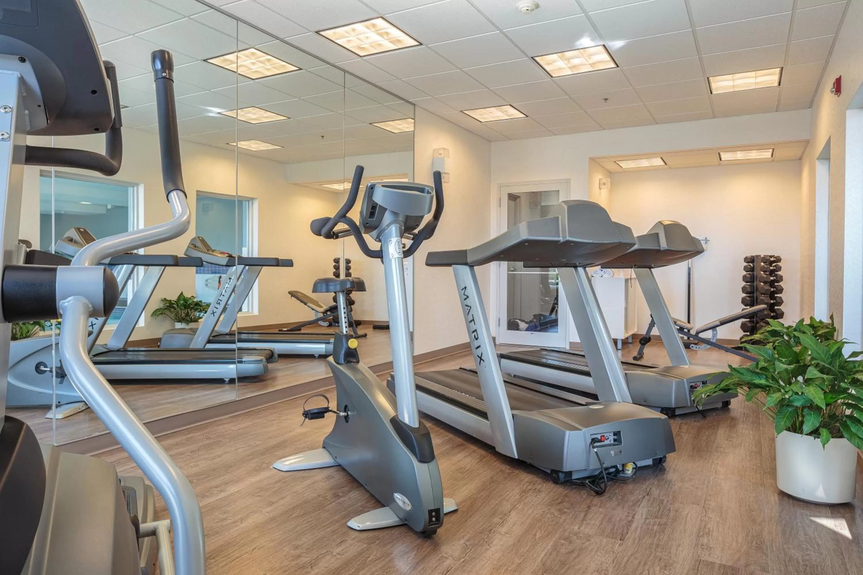 Fitness centre/facilities in Holiday Inn Express & Suites - Belleville by IHG