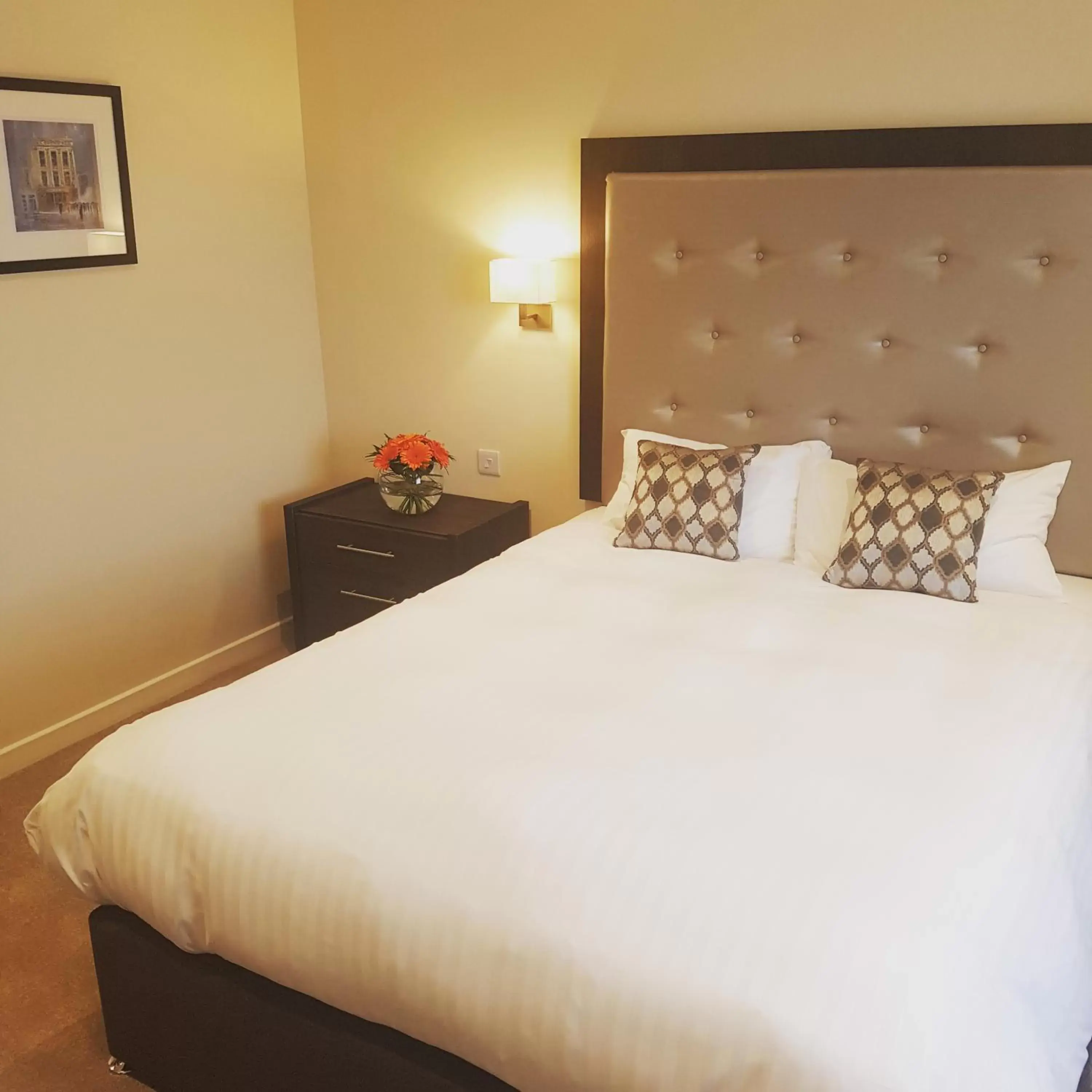 Single Room in Cohannon Inn