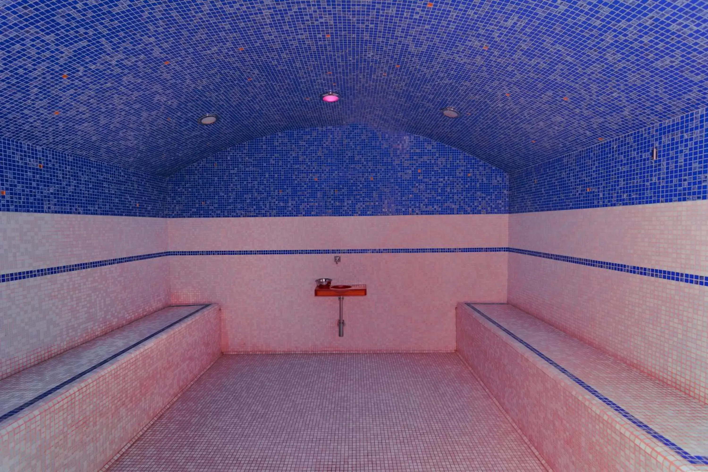 Steam room, Swimming Pool in Residence San Rossore