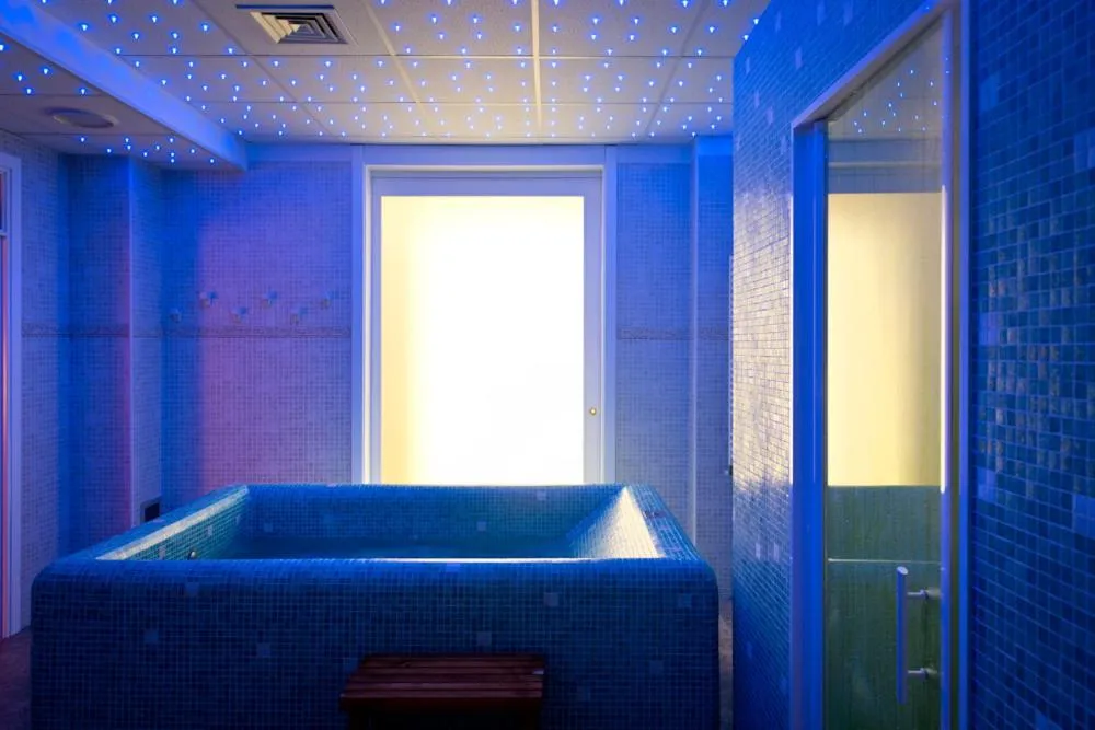 Spa and wellness centre/facilities, Bed in Park Hotel La Grave