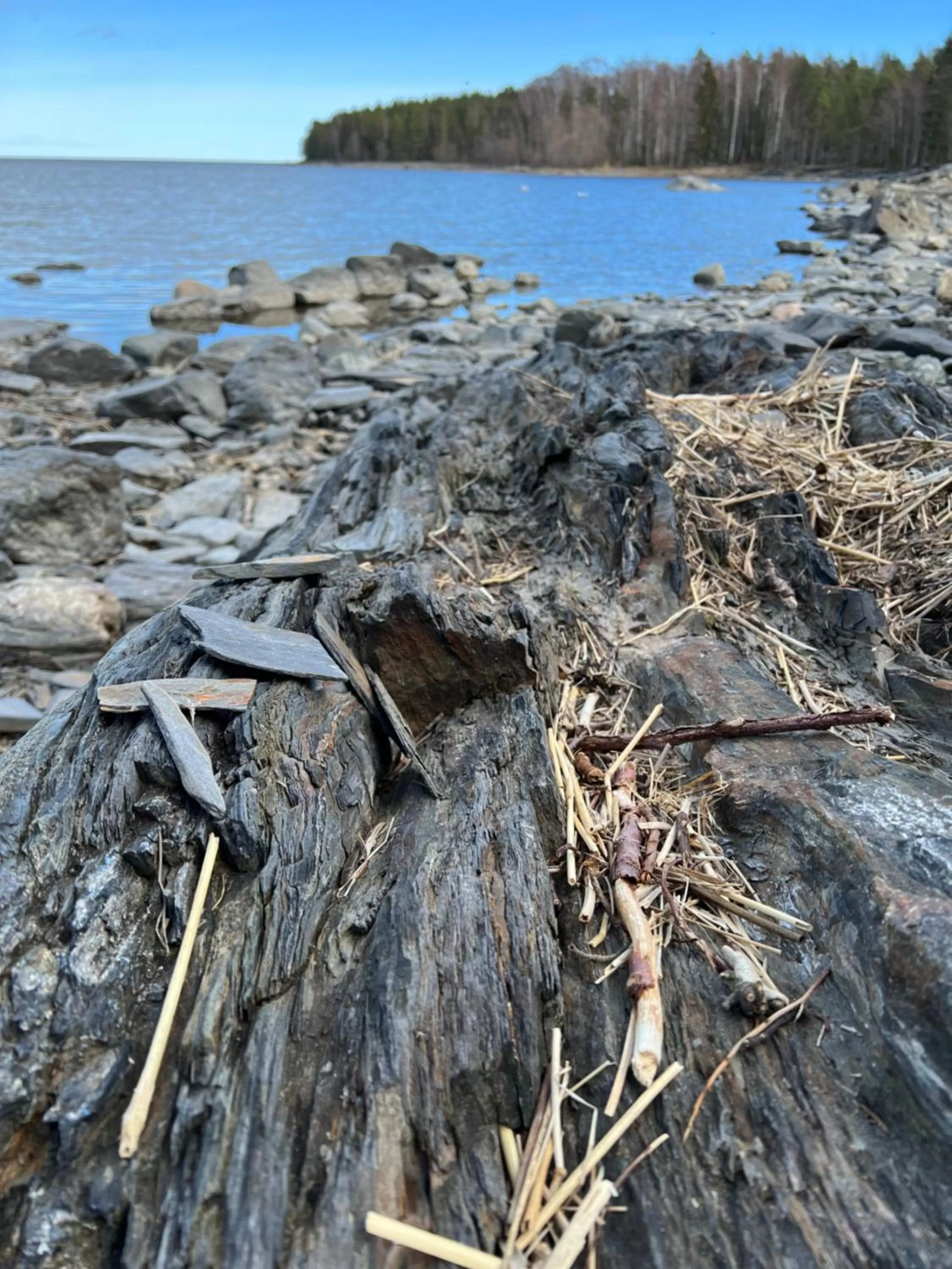 Natural landscape in Hedenstugan B&B Hotel