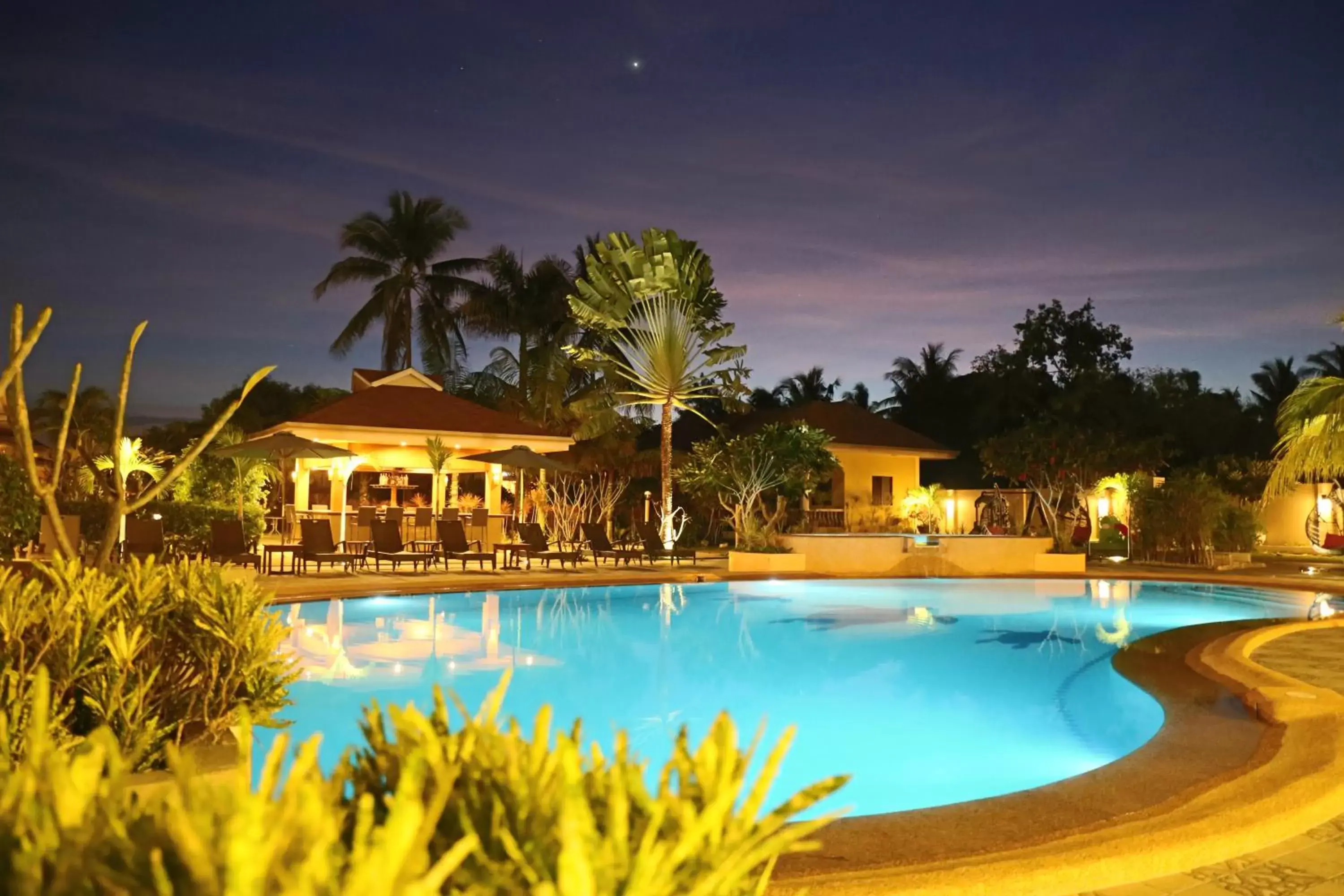 Area and facilities, Swimming Pool in Turtle Bay Dive Resort