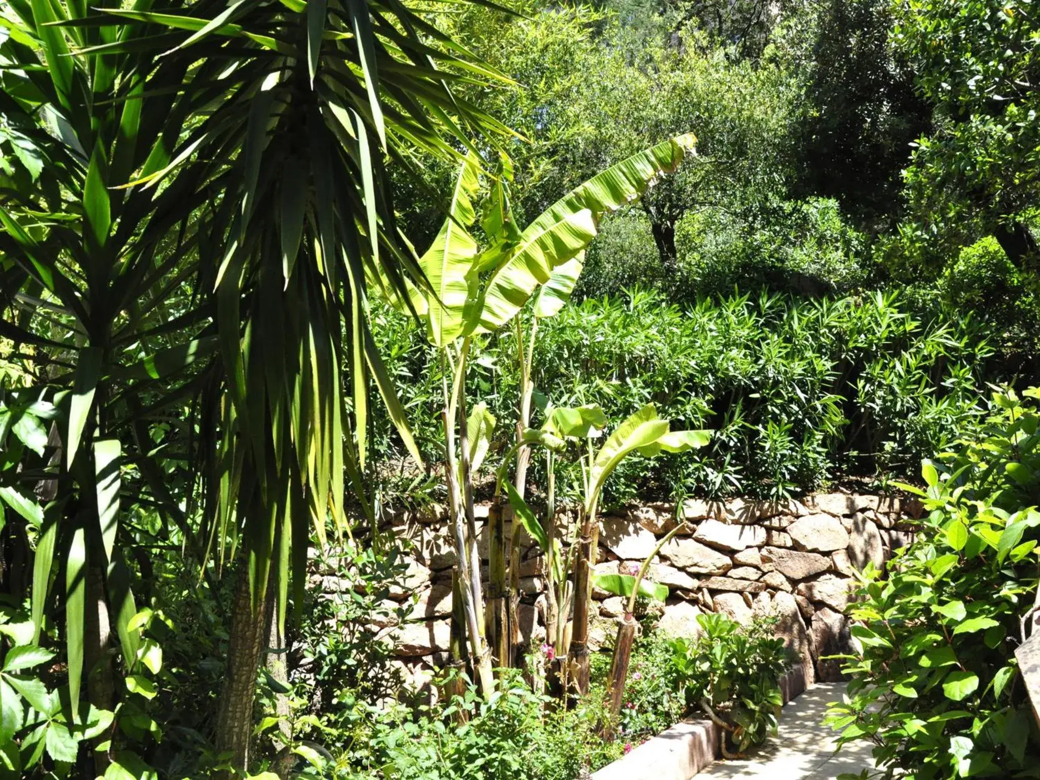 Garden in Private Hôtel - Adult Only