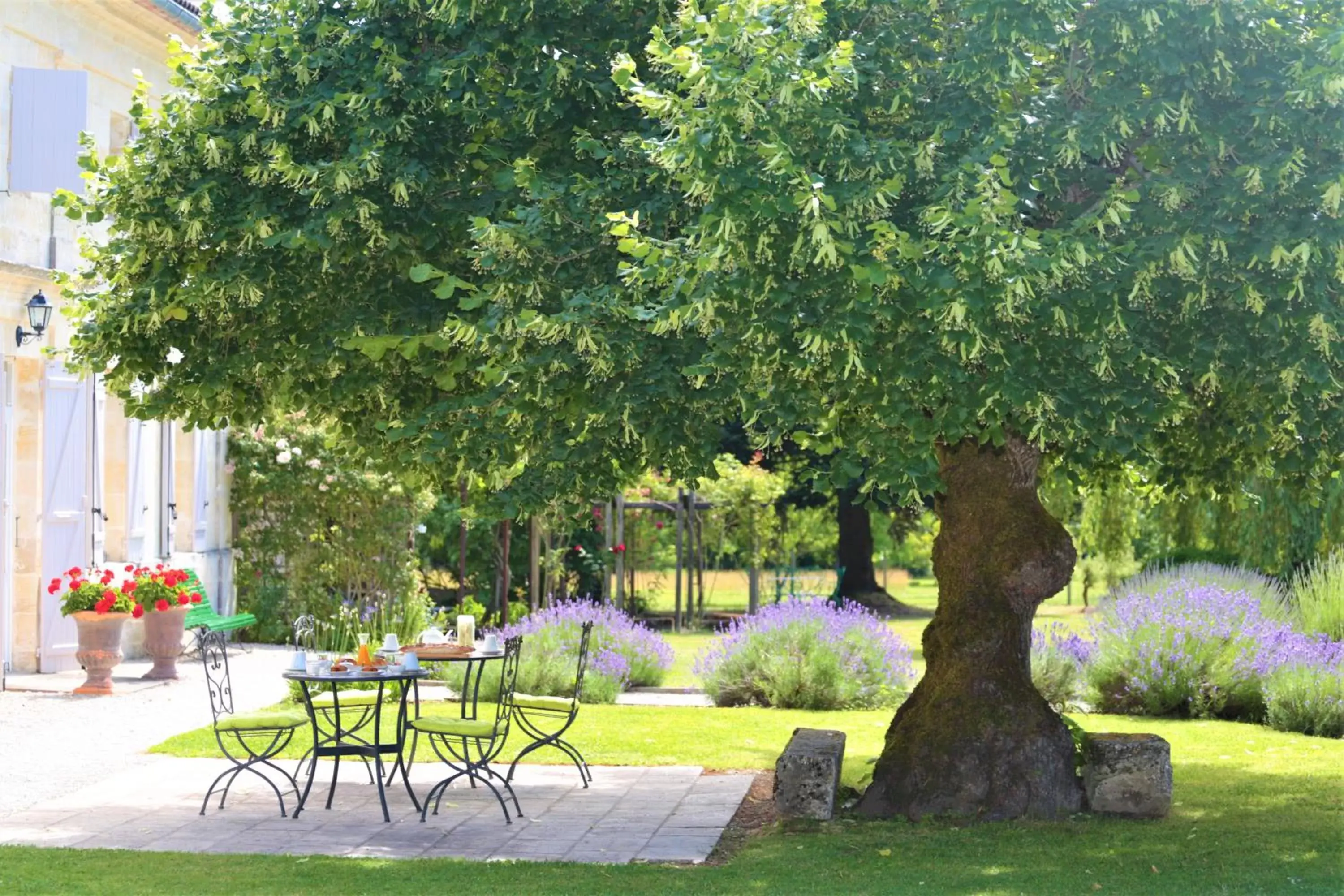 Garden in Au Do'Mayne des Bouilles - Spa & Piscine