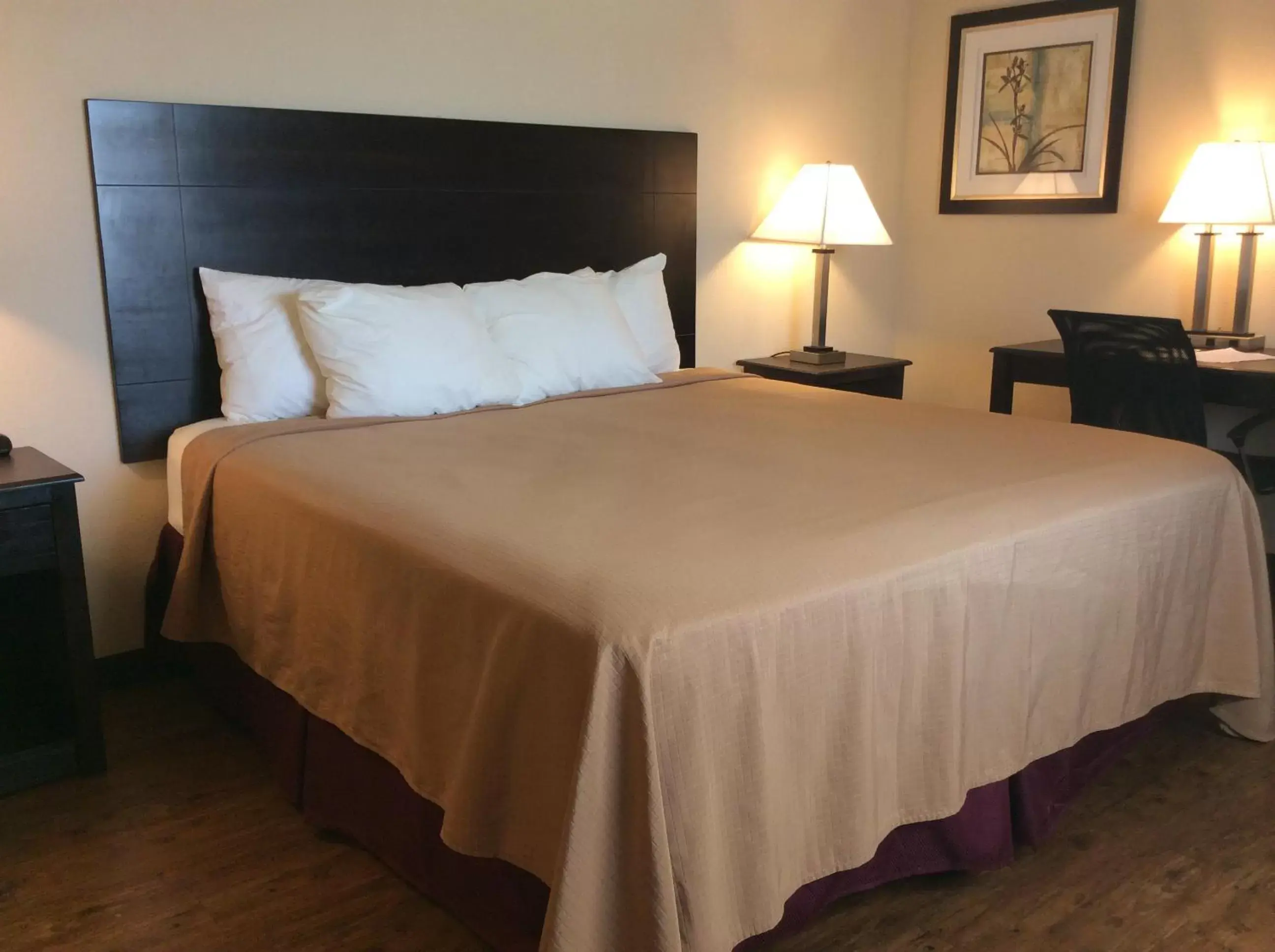Bed in Hotel Cotulla