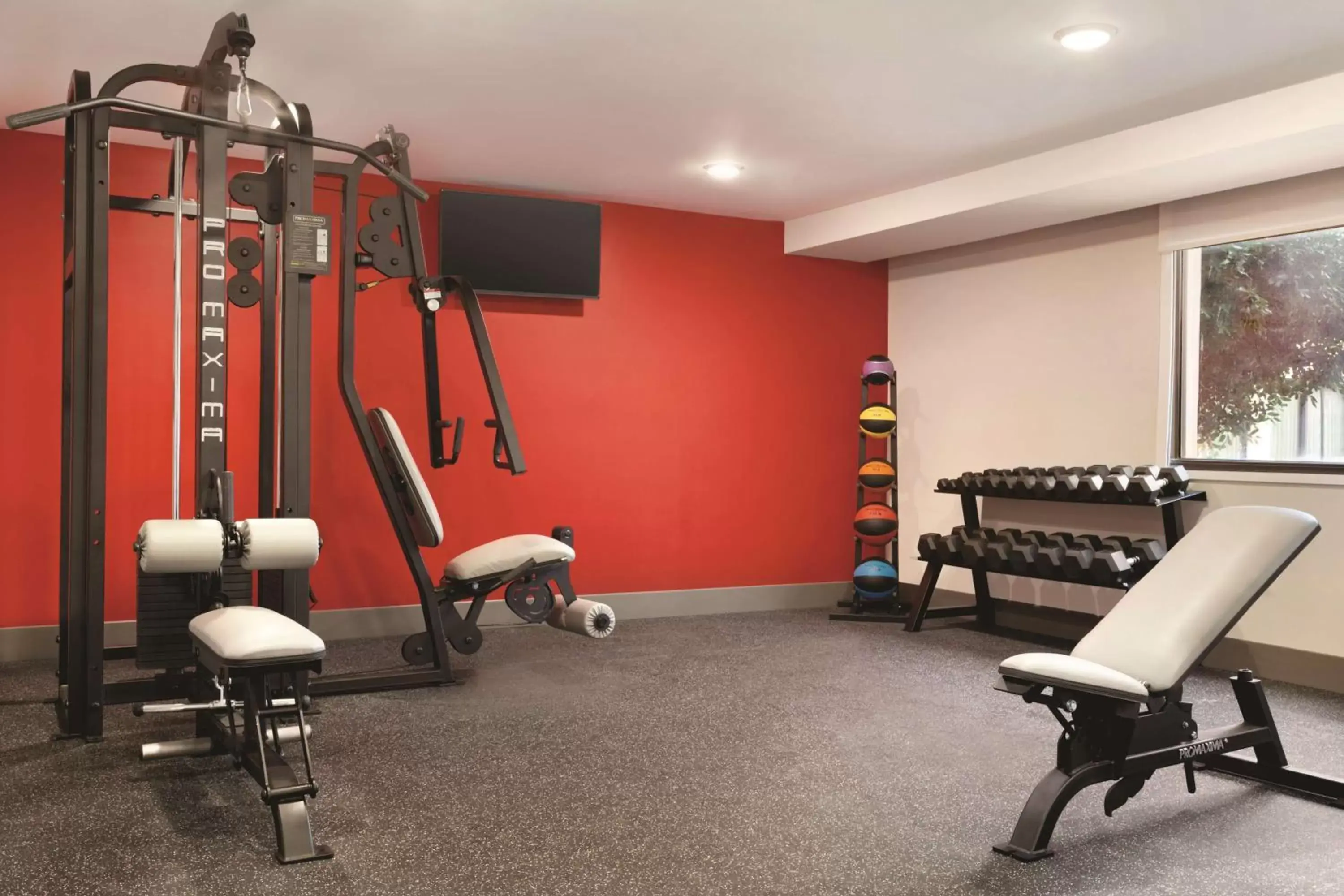 Activities, Fitness Center/Facilities in Radisson Hotel Charlotte Airport