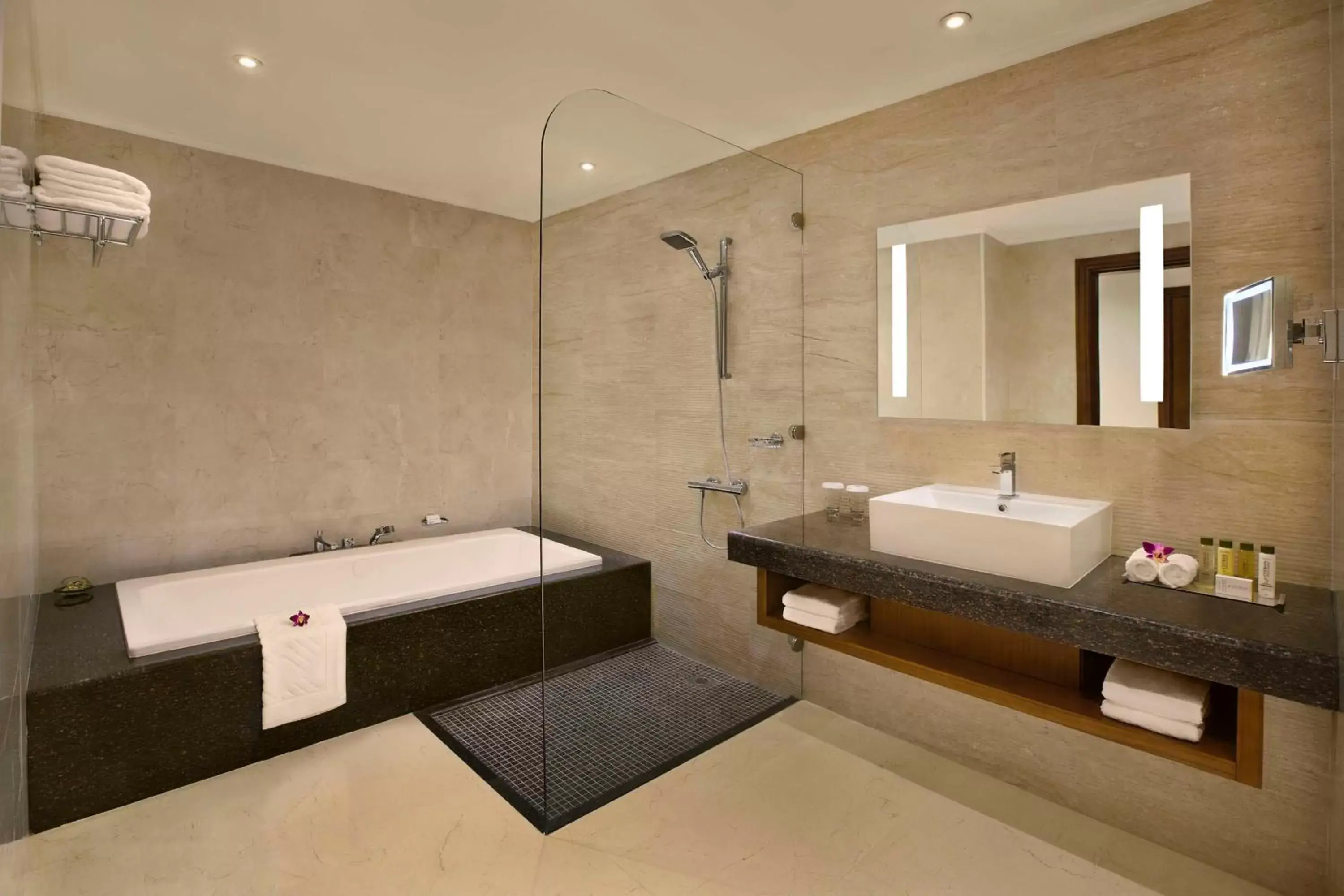 Bathroom in DoubleTree by Hilton Resort & Spa Marjan Island