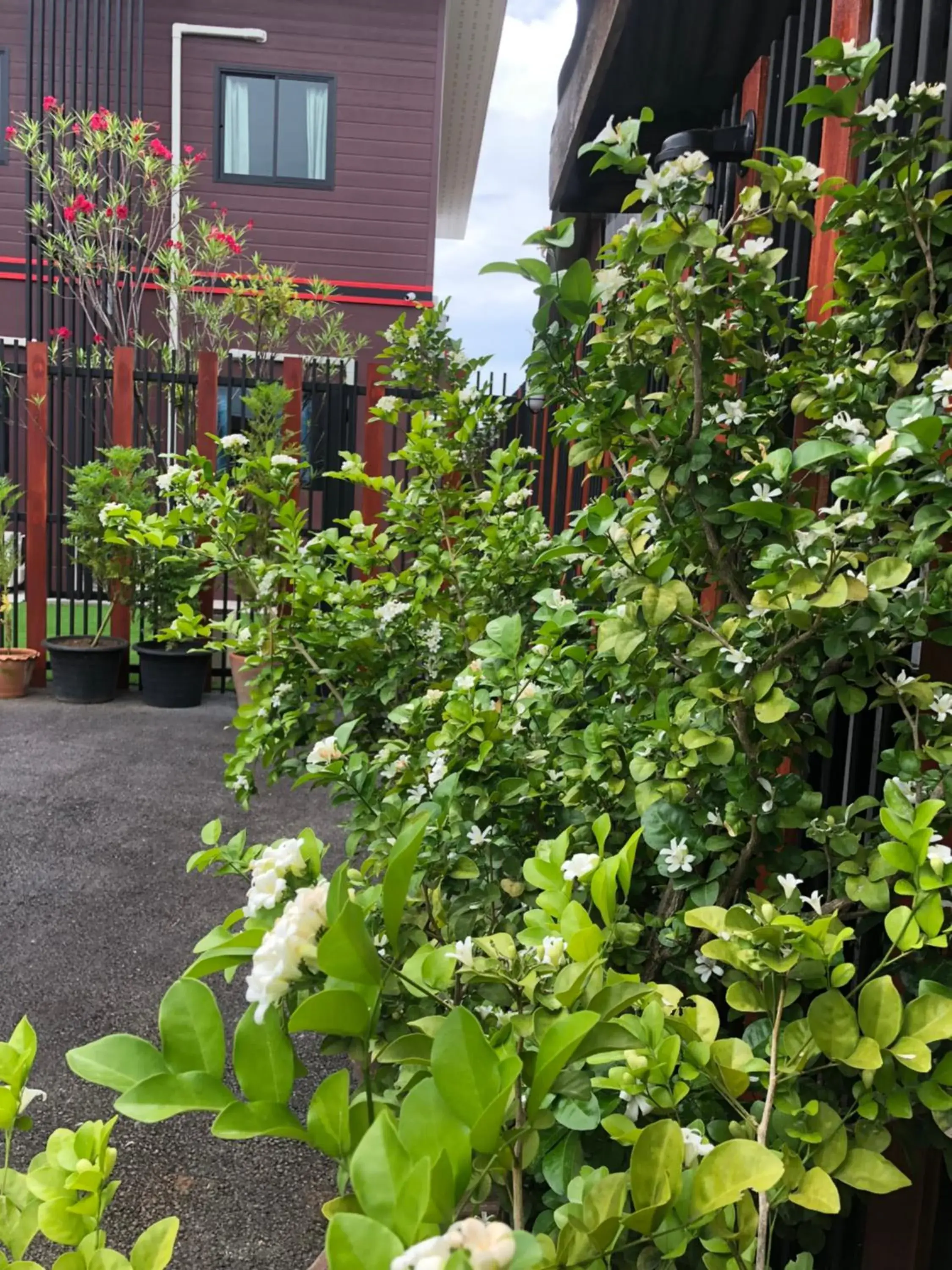 Garden in Thyme Xeriscape Hostel