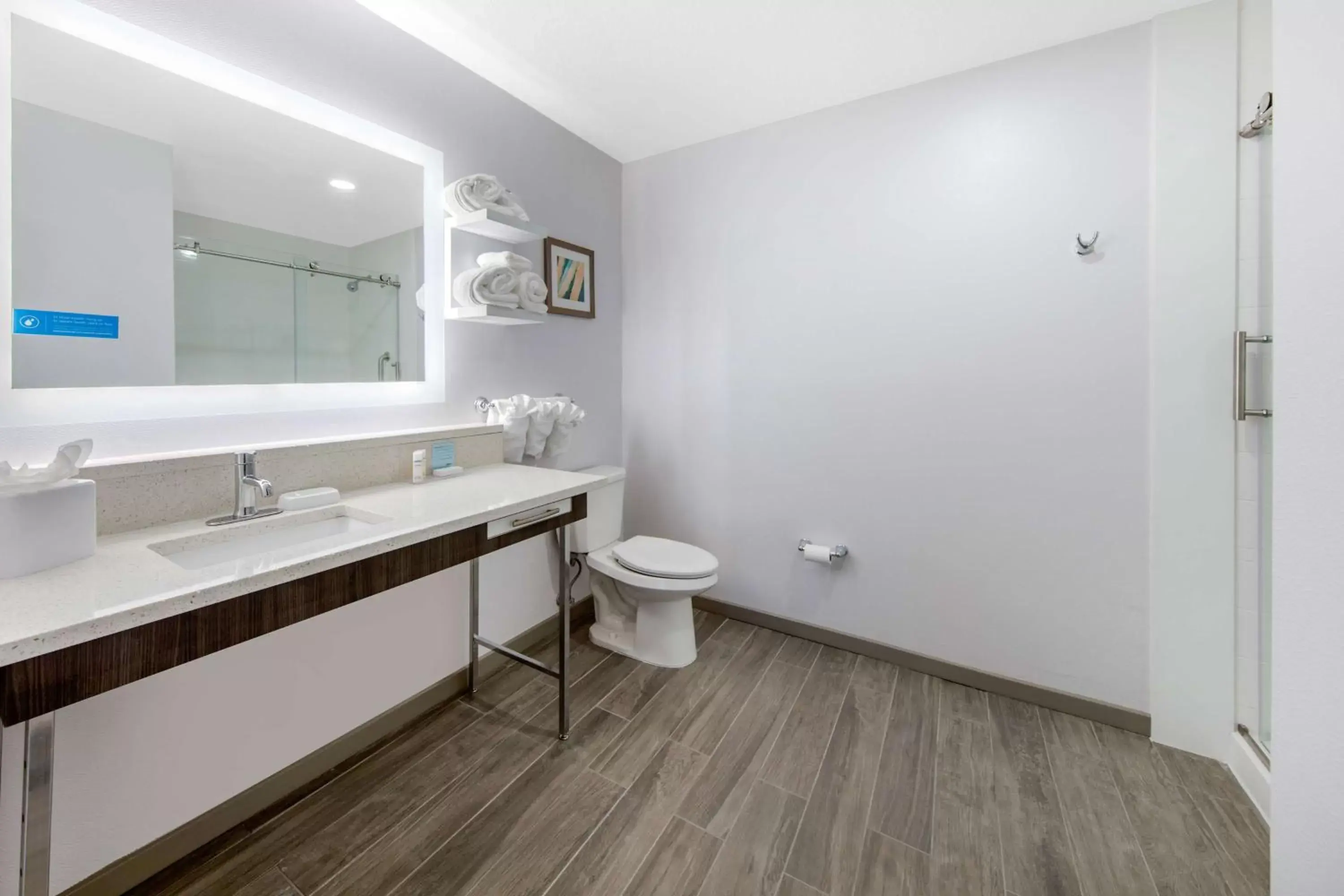 Bathroom in Hampton Inn & Suites Ruidoso Downs