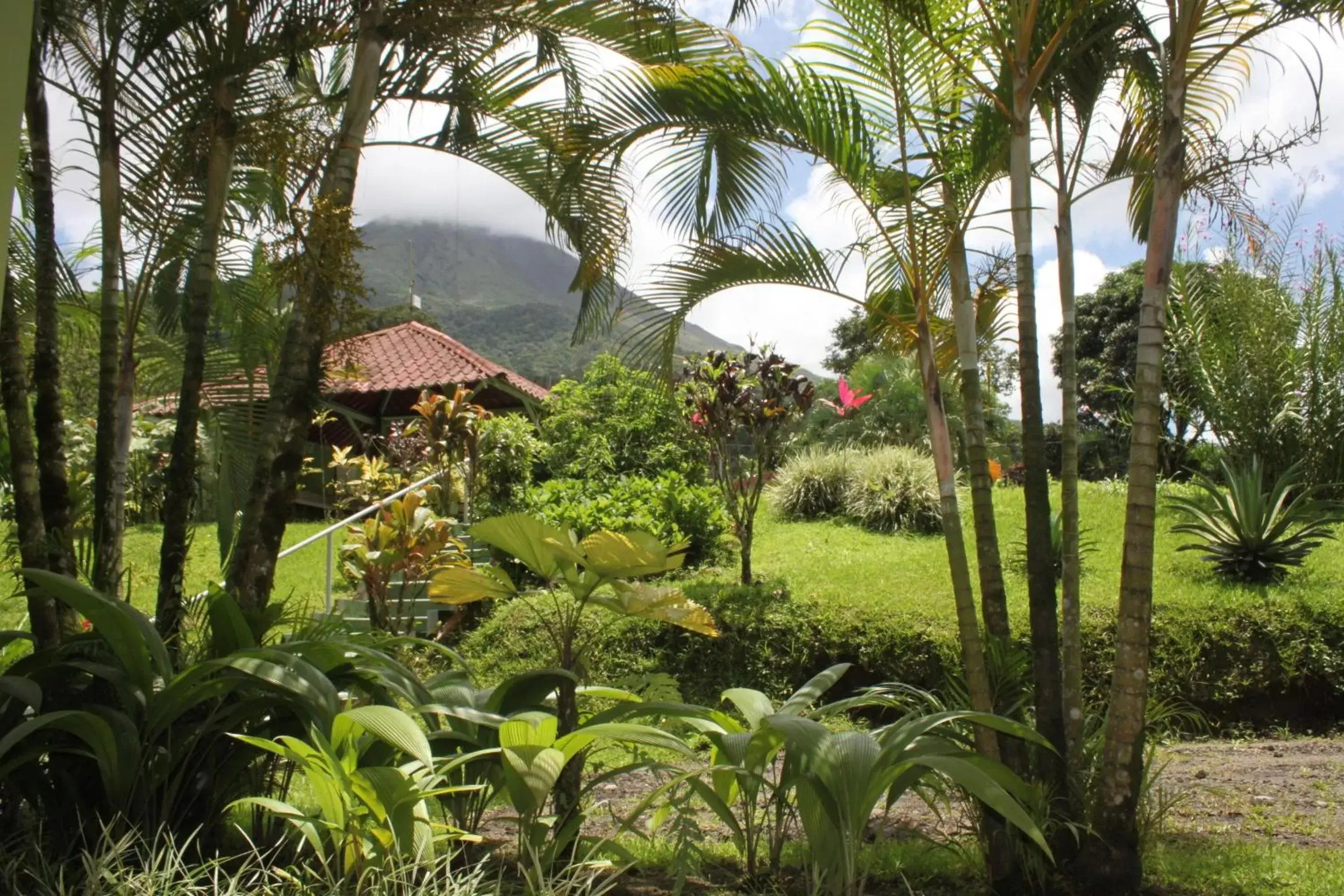 Mountain view, Garden in Loma Real Hot Springs Bed & Breakfast