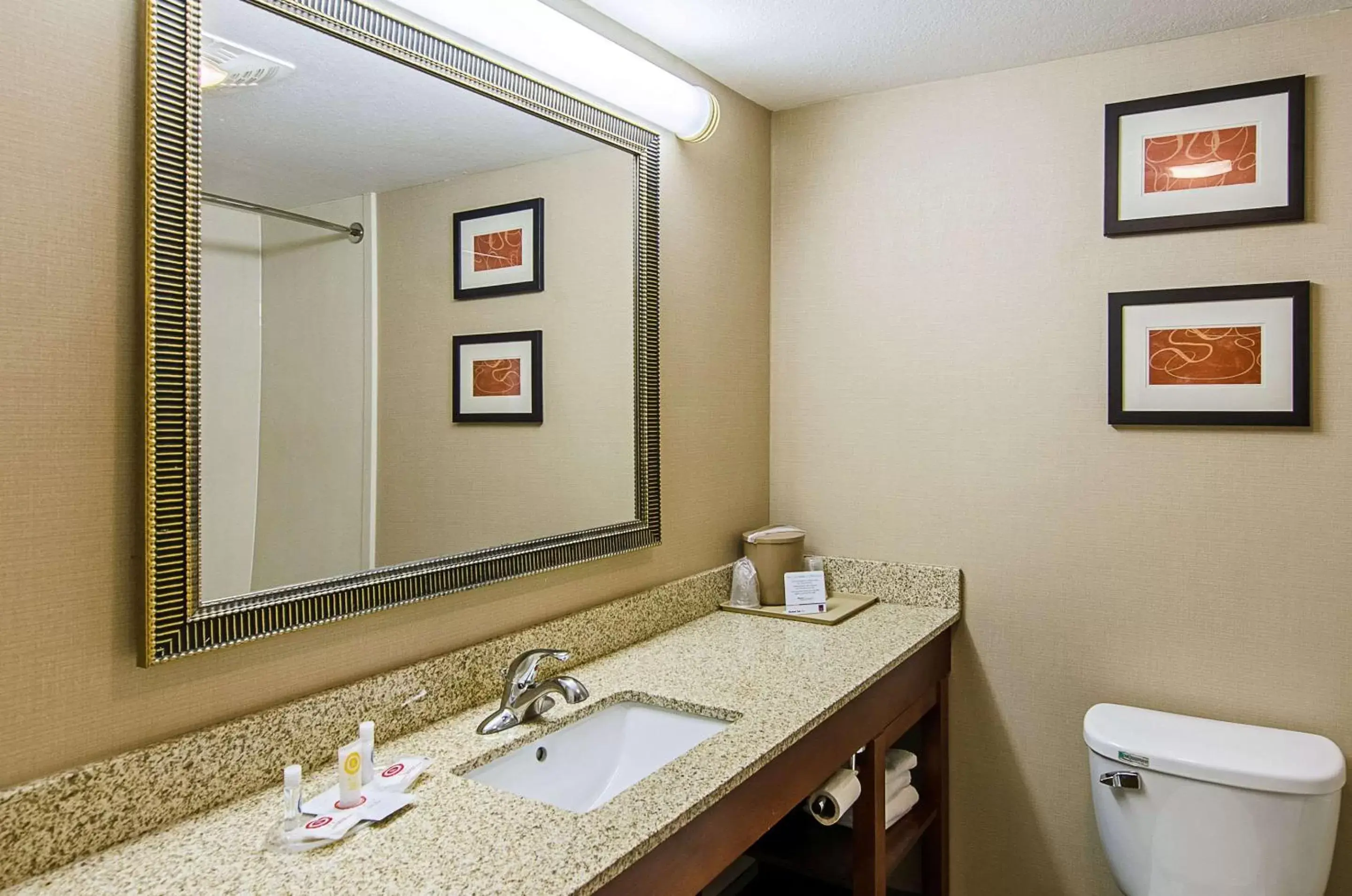 Bathroom in Comfort Suites Wytheville near Conference Center Bathroom in Comfort Suites Wytheville near Conference Center