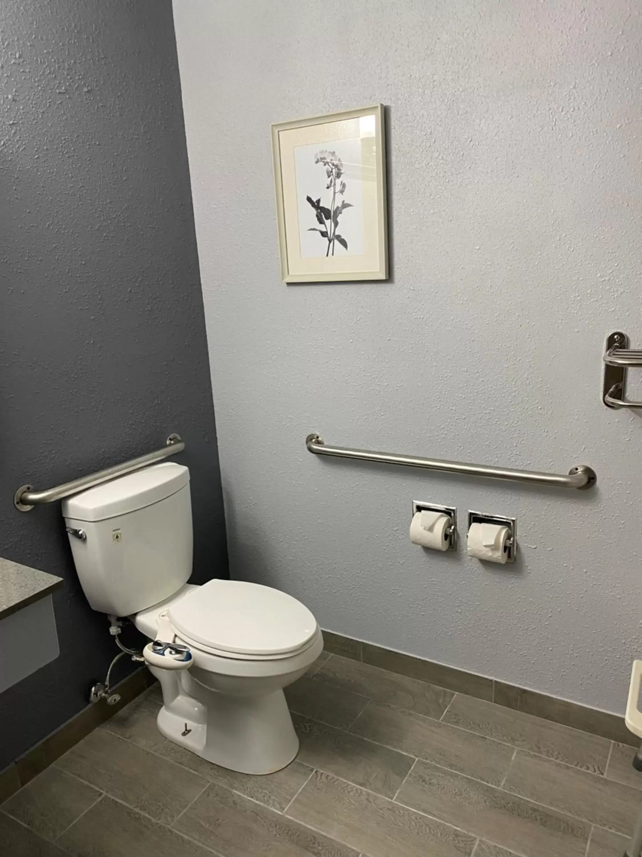 Toilet, Bathroom in American Inn Cedar Rapids South