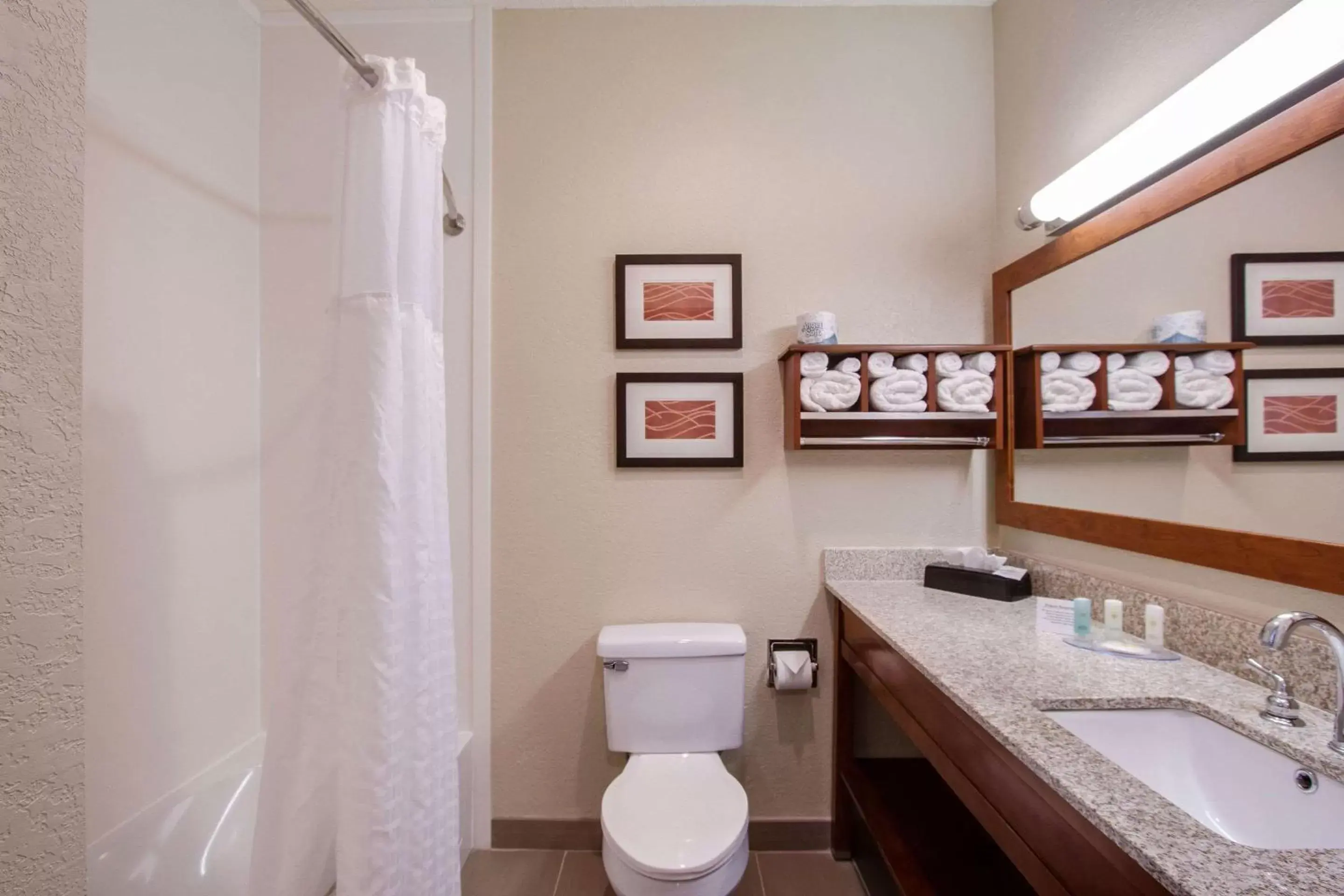 Bathroom in Comfort Inn & Suites Bellevue - Omaha Offutt AFB