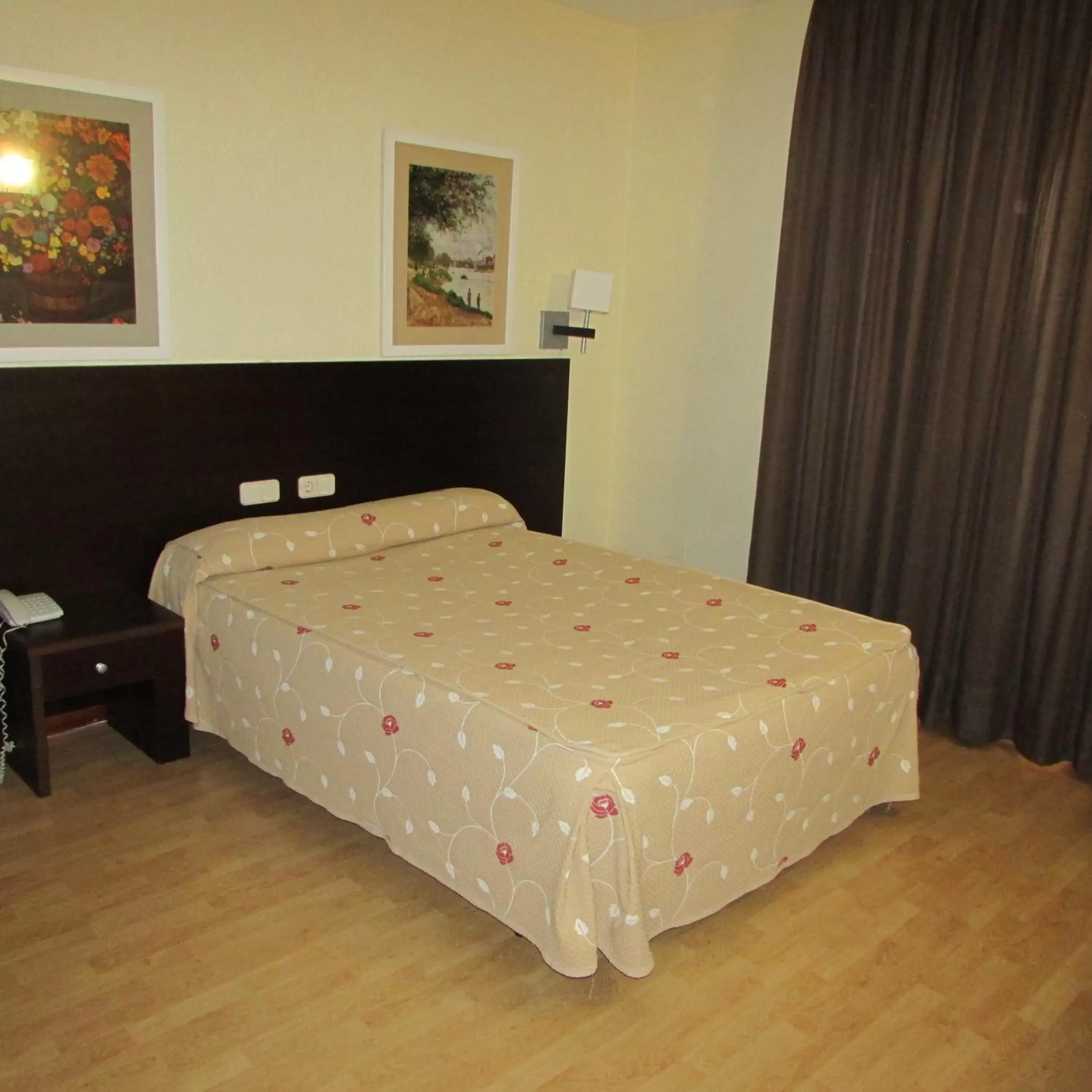 Single Room in Hotel Tudanca-Aranda II