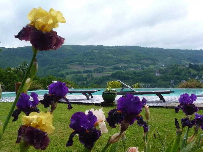 Garden in Chambre d'Hotes Le Ponsonnet