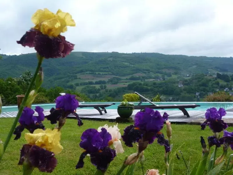 Garden in Chambre d'Hotes Le Ponsonnet