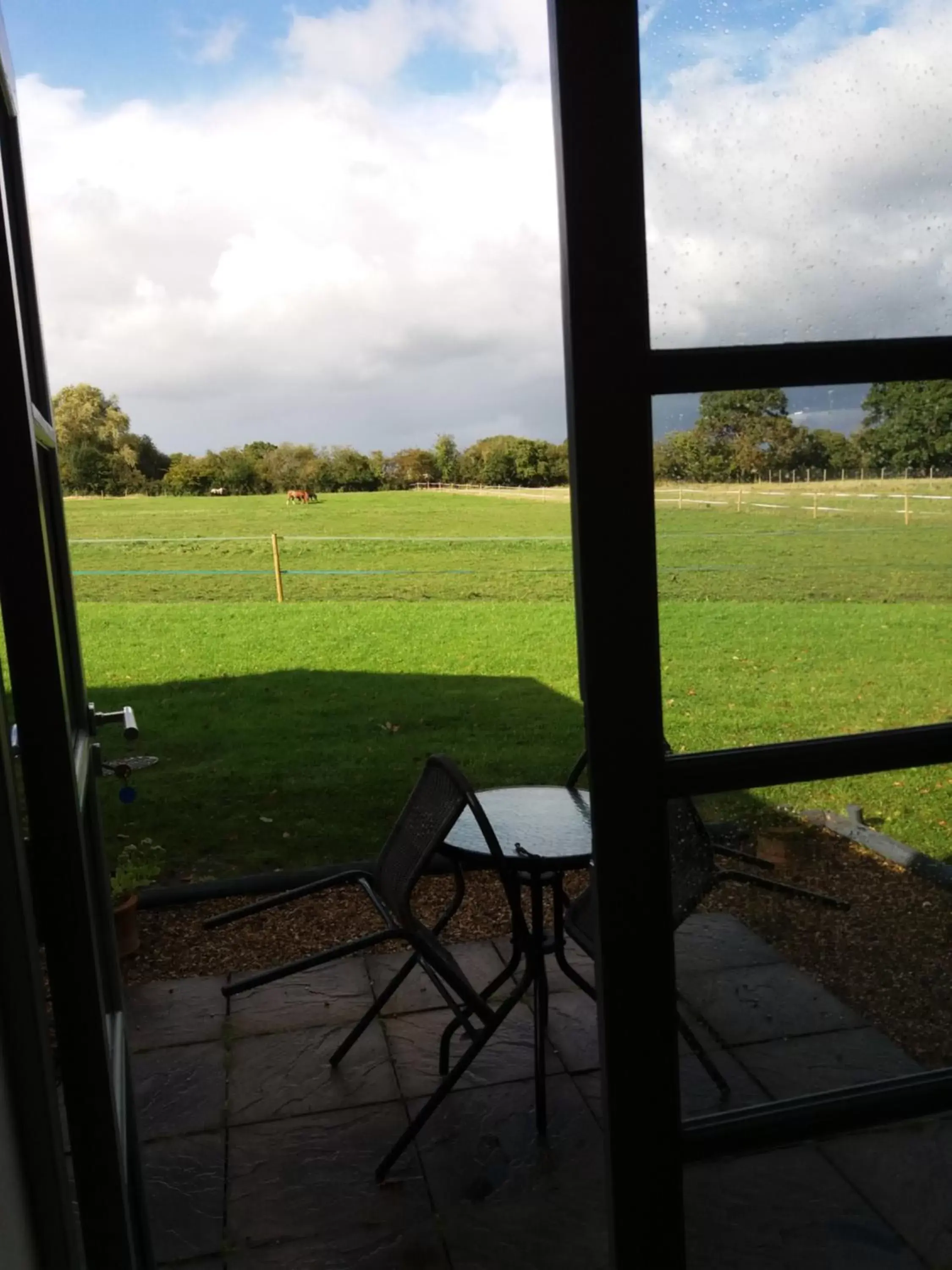 Garden view in The Stables - Deer Park Farm