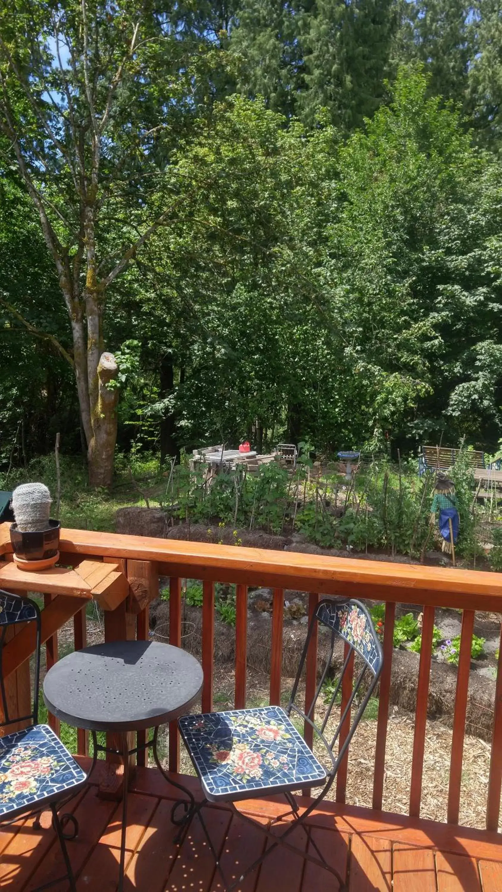 Balcony/Terrace in Scott Creek Farm