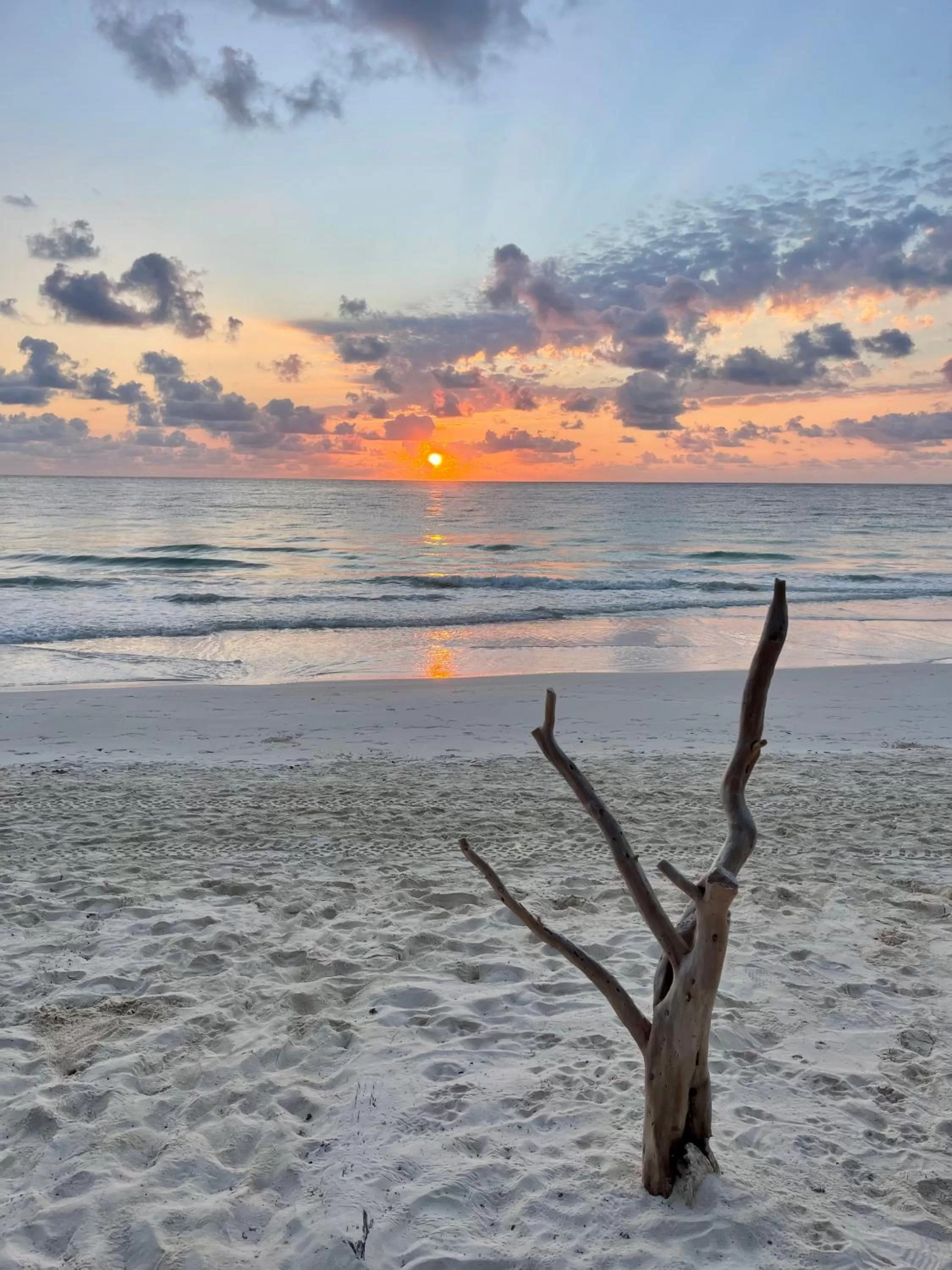 Beach in Sueños Tulum