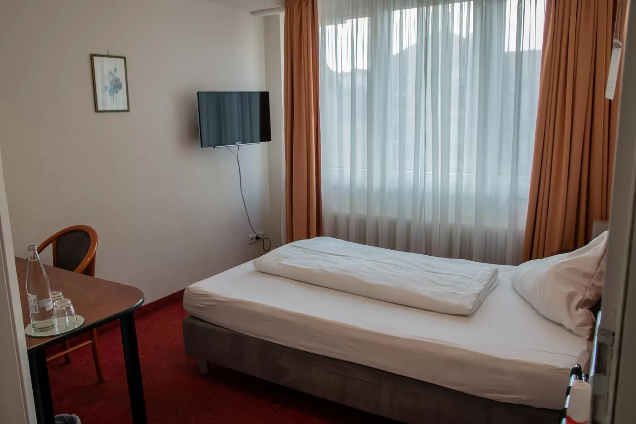 Single Room in Hotel Alpha Single Room in Hotel Alpha