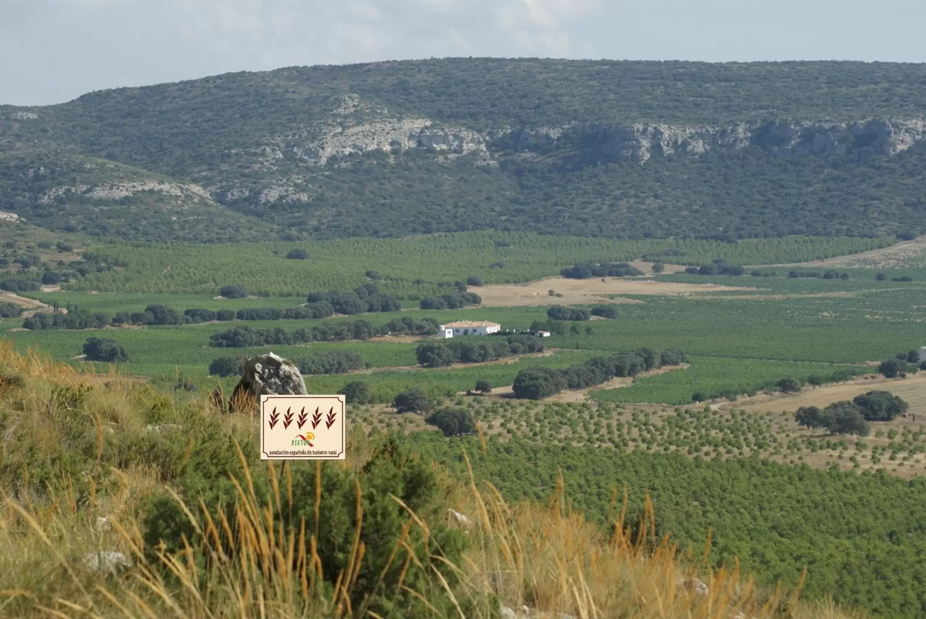 Bird's eye view, Bird's-eye View in Finca El Romeral