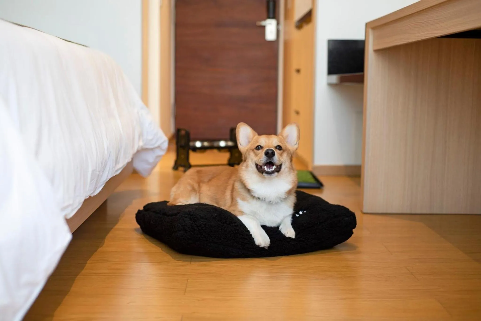 Lobby or reception in voco Guadalajara Neruda by IHG