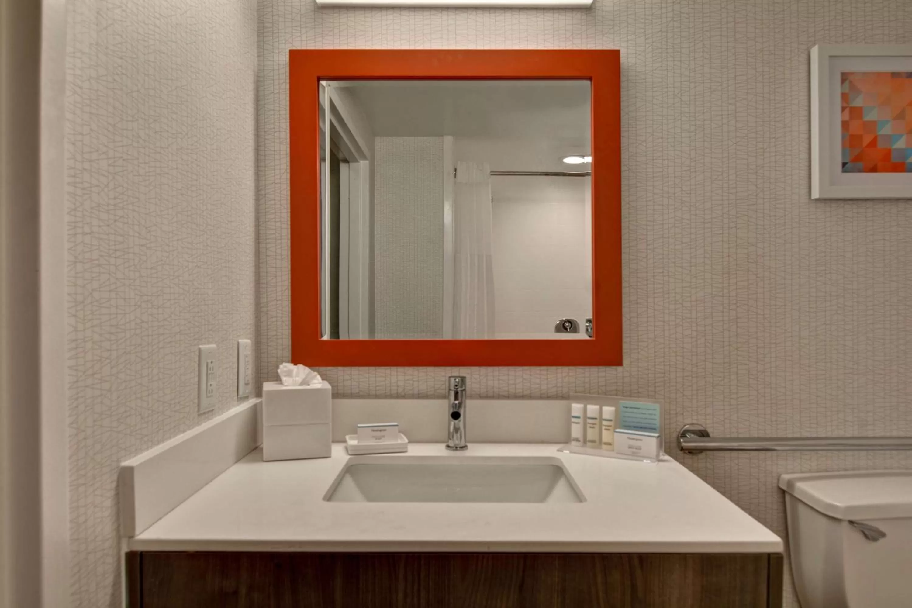 Bathroom in Hampton Inn Anderson