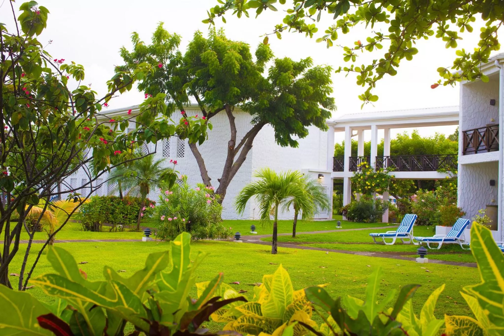 Garden in Coyaba Beach Resort