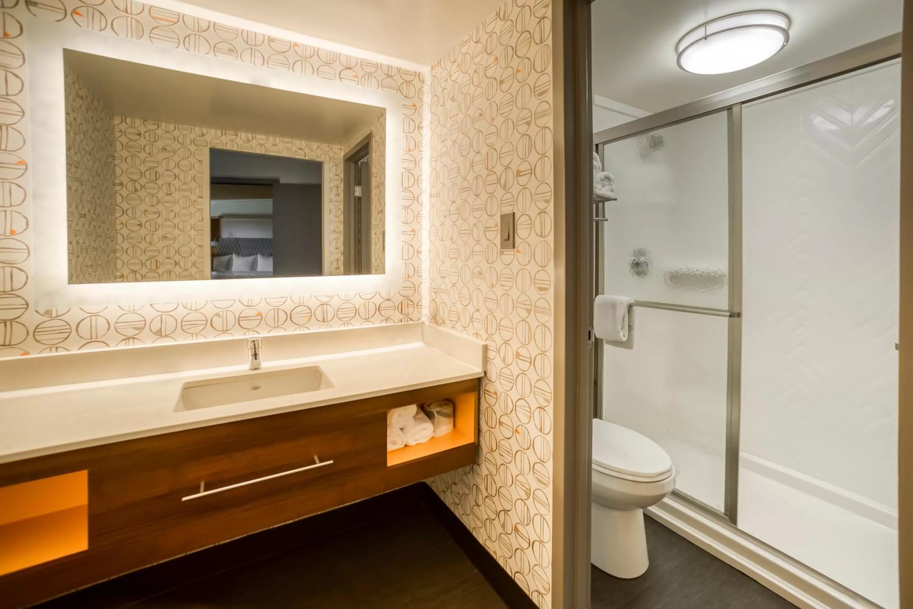 Bathroom in Holiday Inn Mobile Downtown Historic District by IHG
