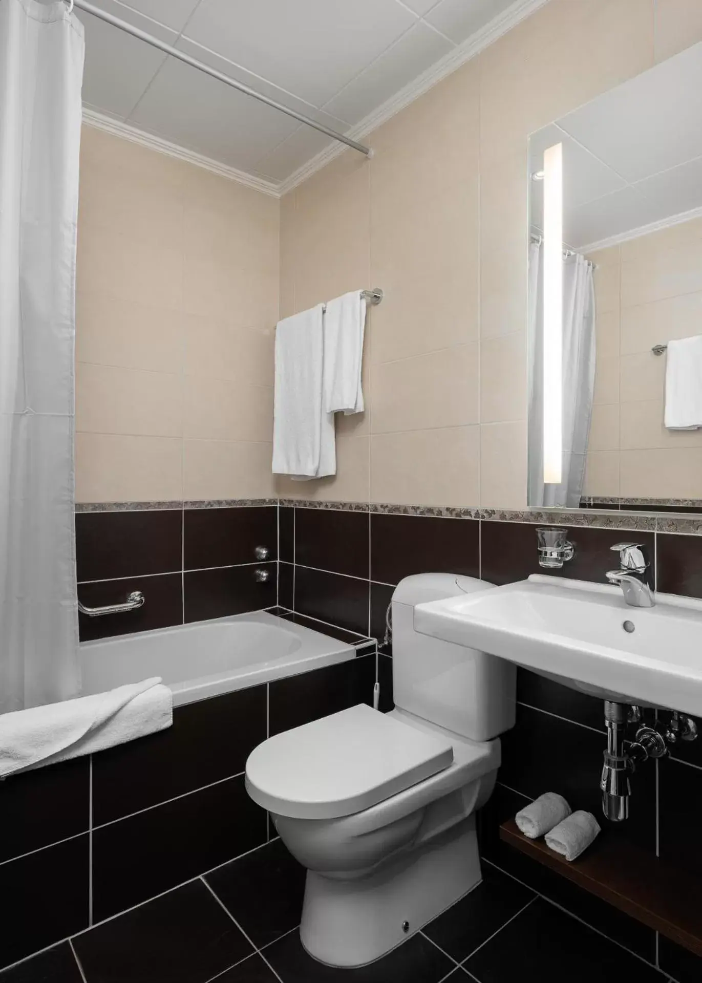 Double Room with Lake View in Hôtel des Alpes Double Room with Lake View in Hôtel des Alpes