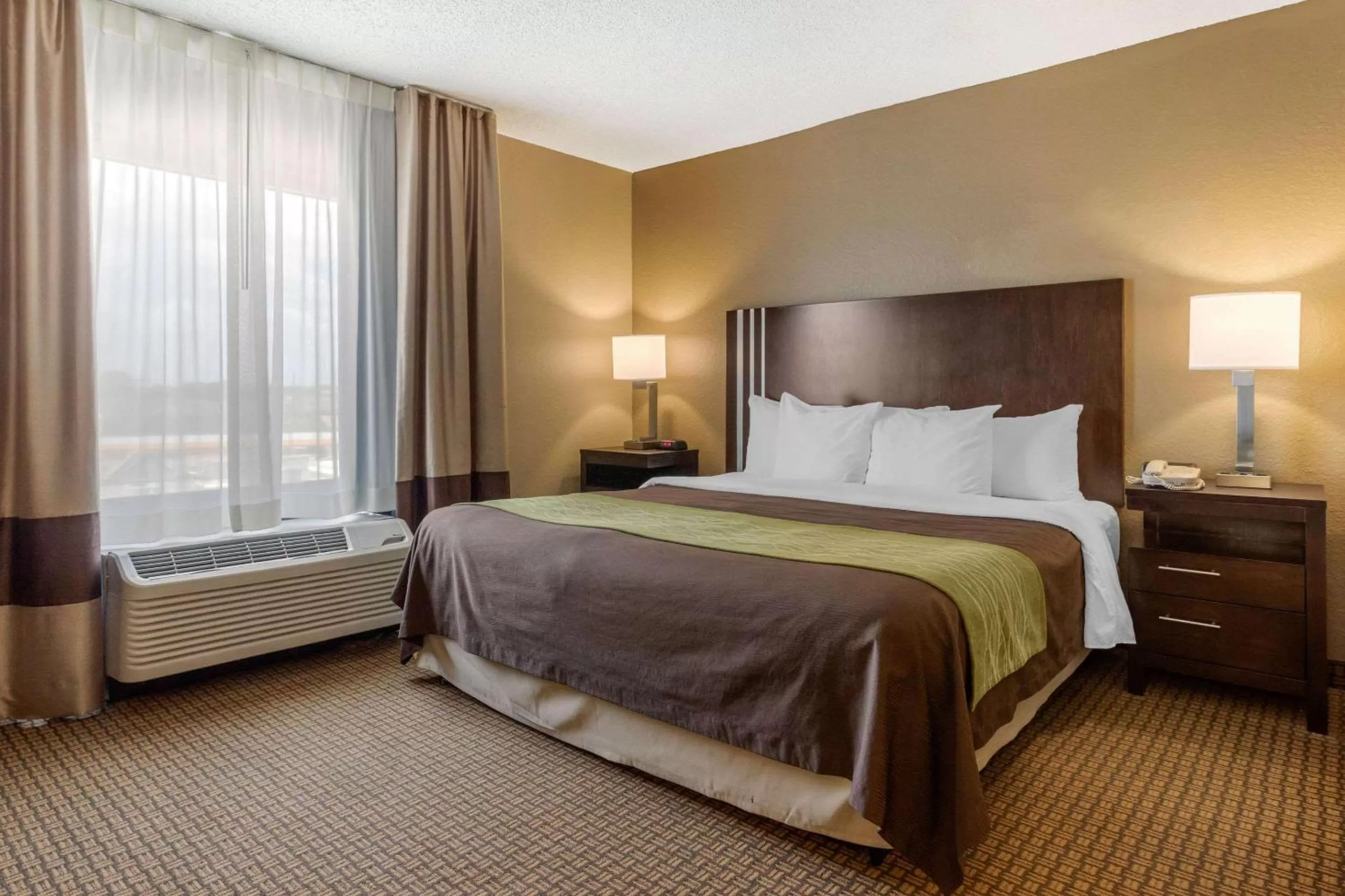 Business King Suite - Non-Smoking in Comfort Inn 290/NW