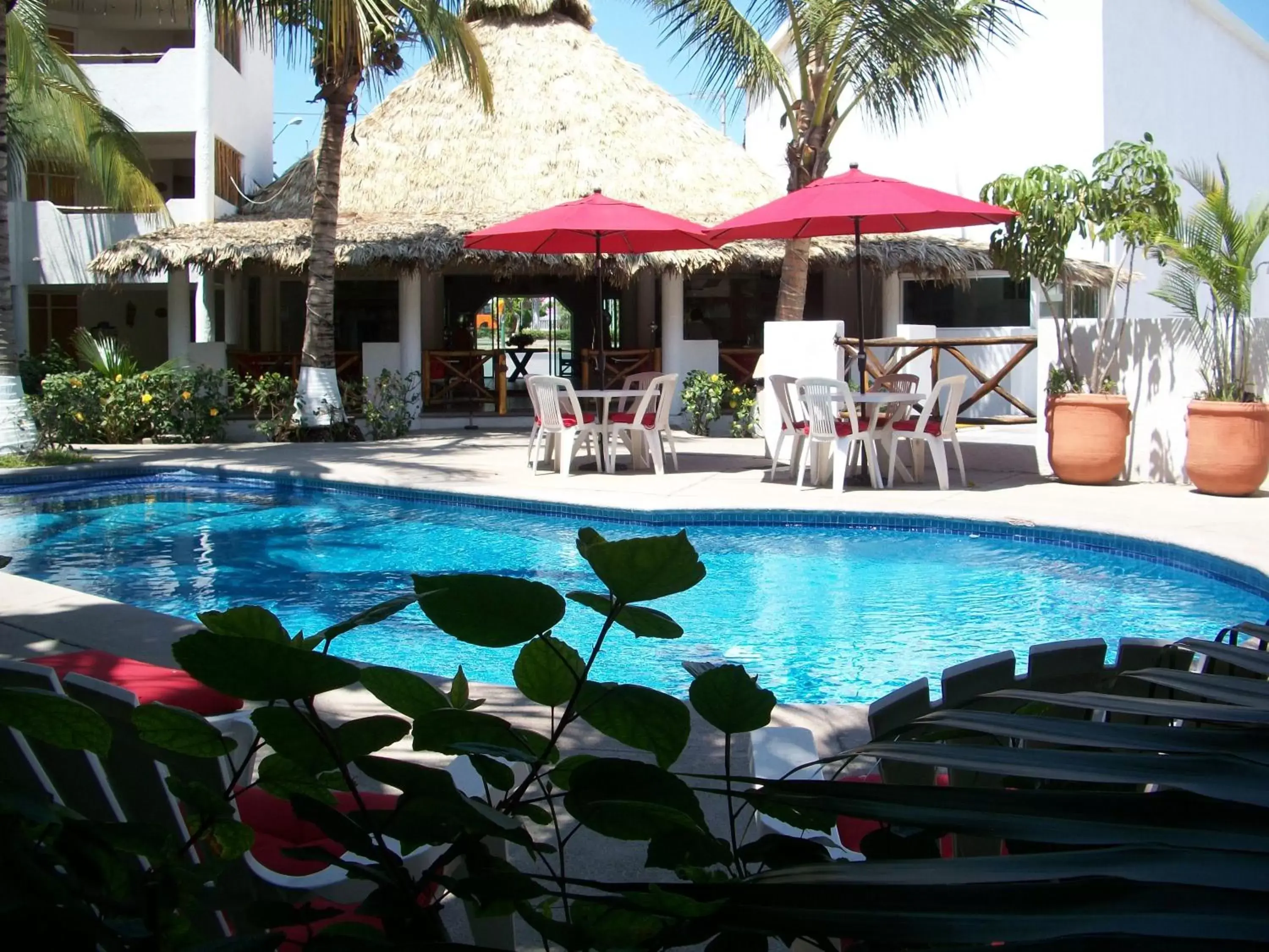 Property building, Swimming Pool in Hotel Palapa Palace Inn
