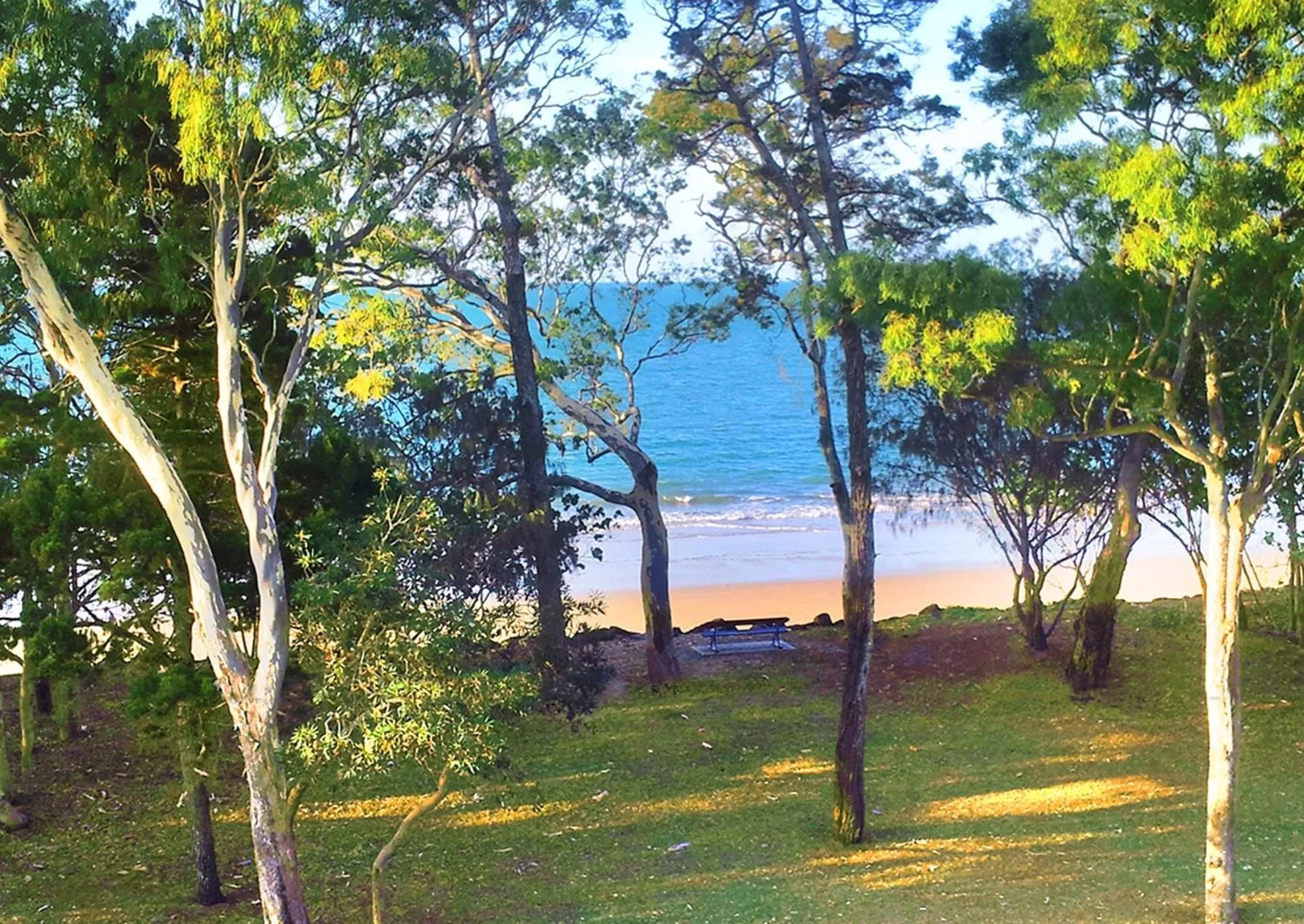 Natural landscape in Shelly Bay Resort