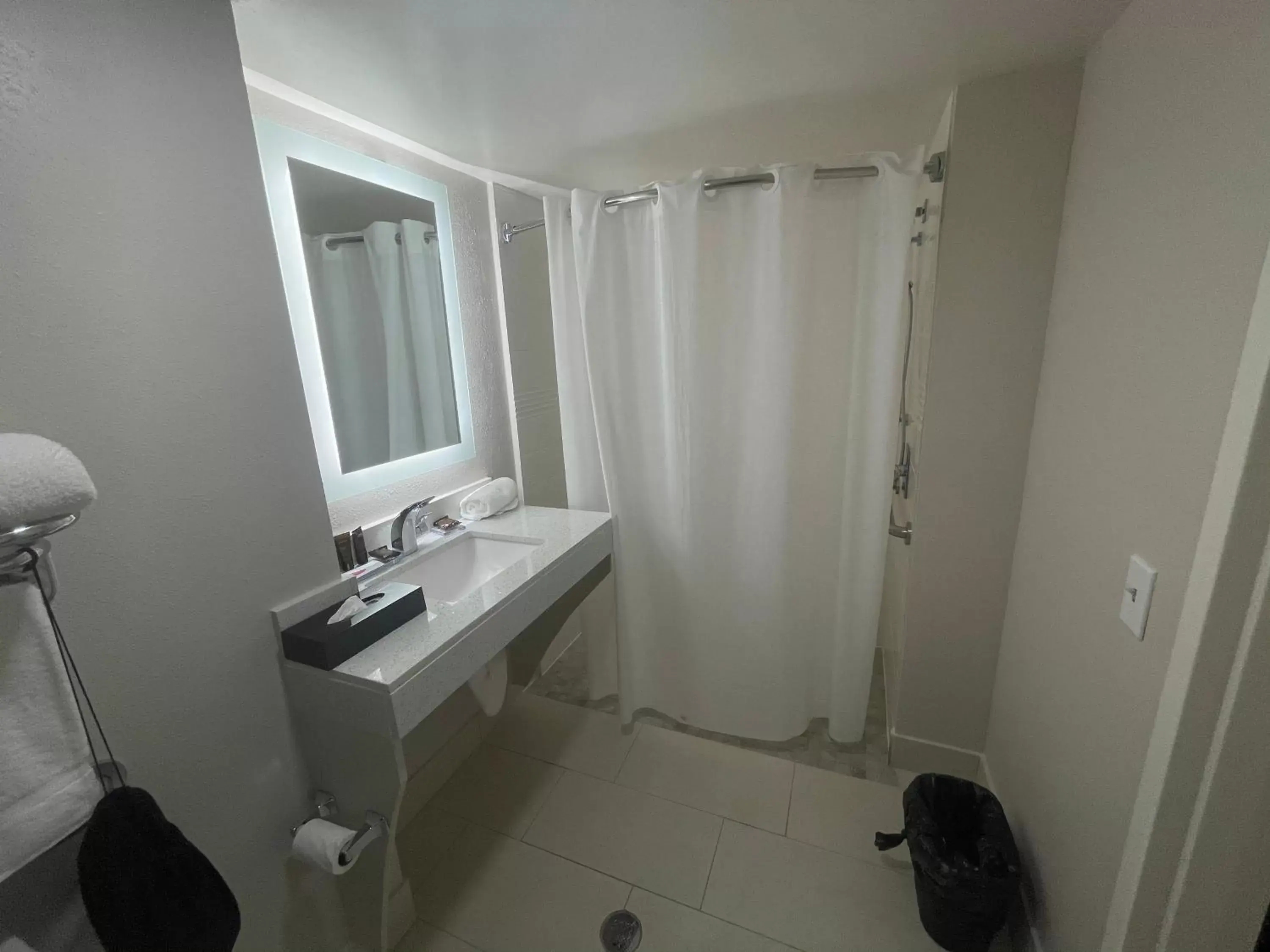 Bathroom in Wingate by Wyndham Panama City Area Lynn Haven