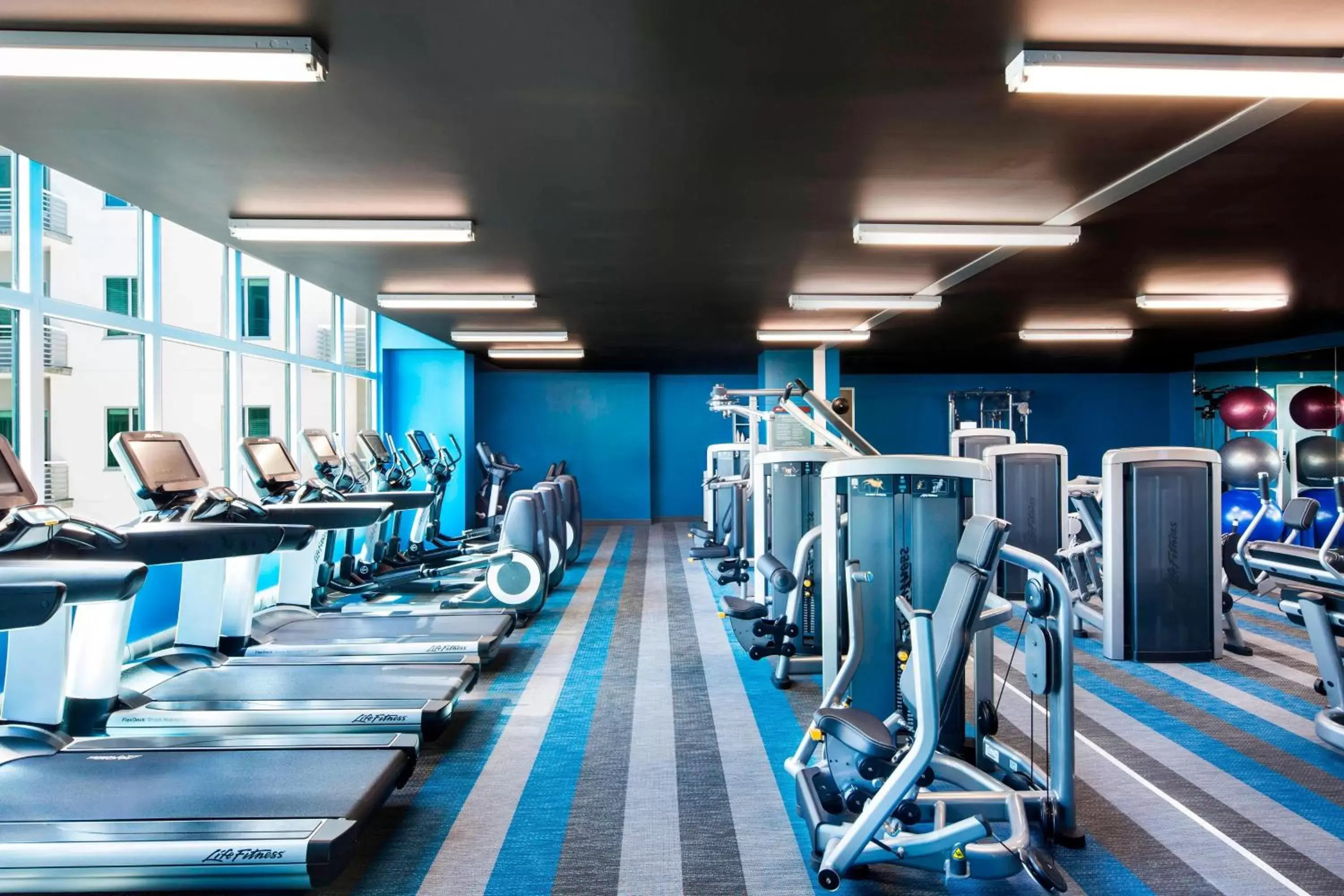 Fitness centre/facilities, Fitness Center/Facilities in Aloft Sarasota