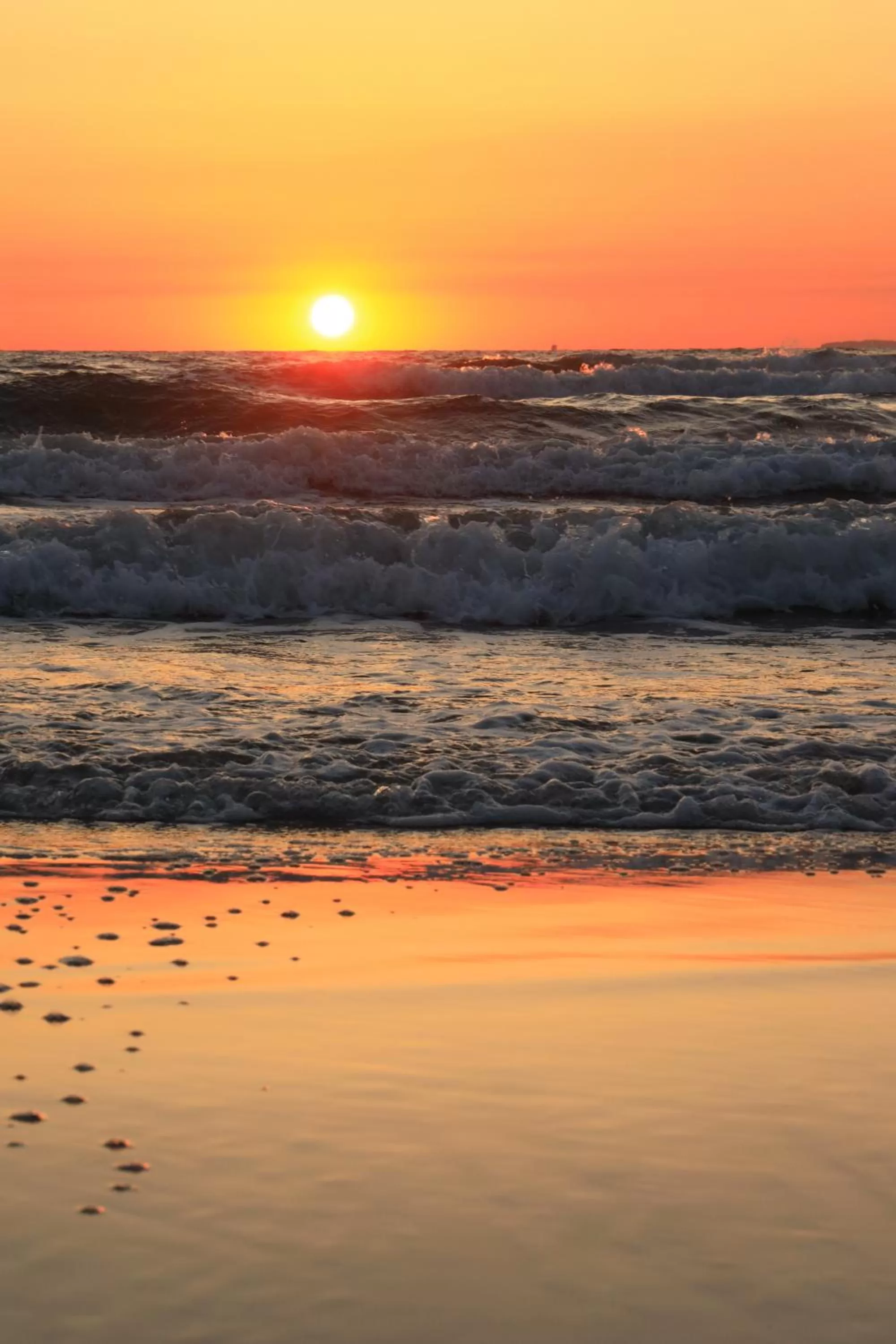 Natural landscape in Hotel Gran BelVeder & Ostsee Therme Resort & Spa