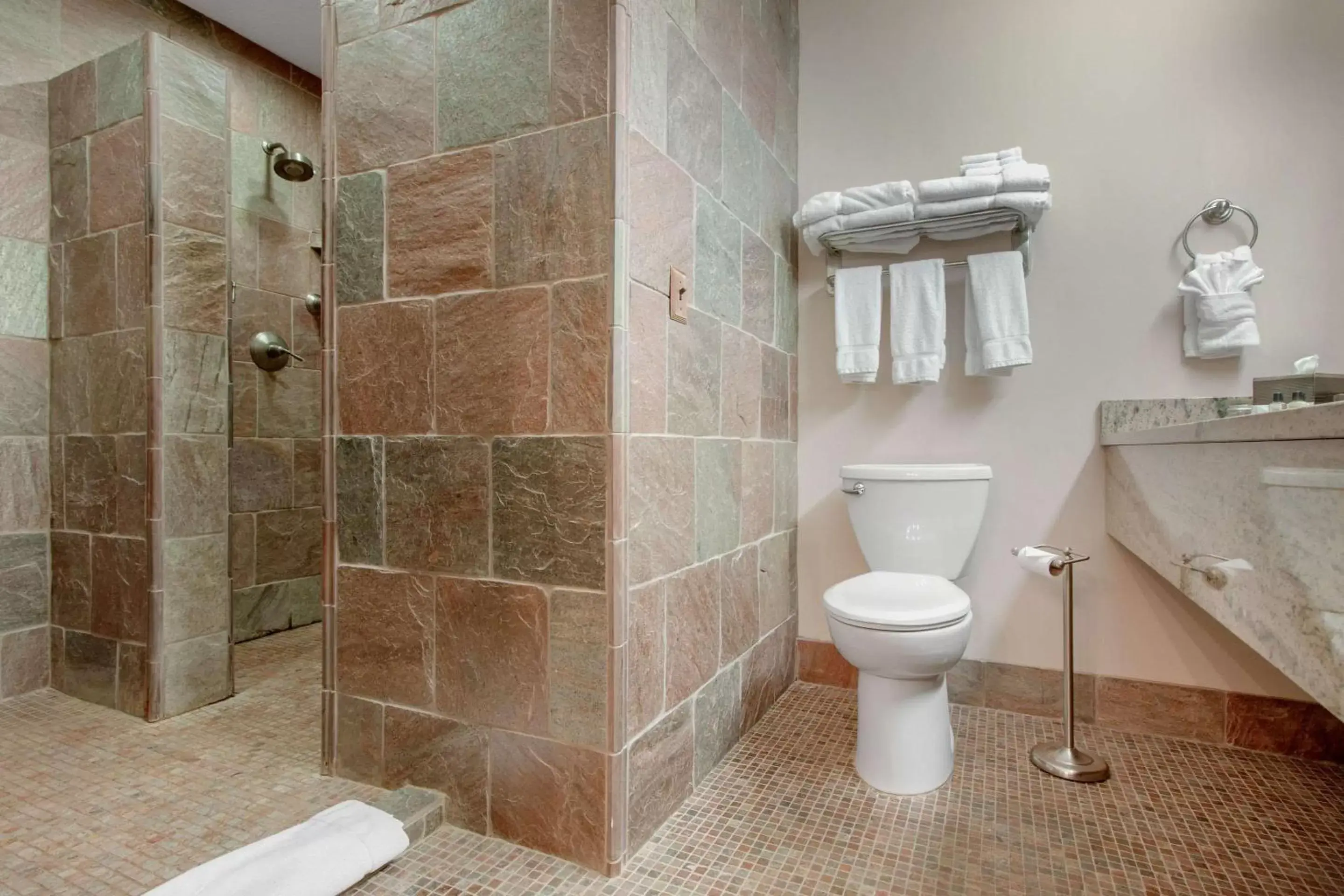 Bathroom in Norfolk Lodge & Suites, Ascend Hotel Collection