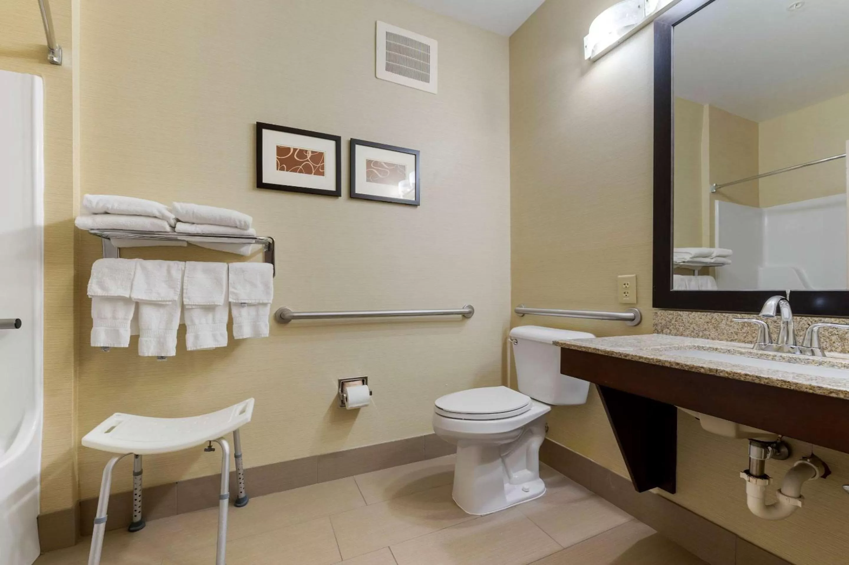 Bathroom in Comfort Suites Columbus Expo Center