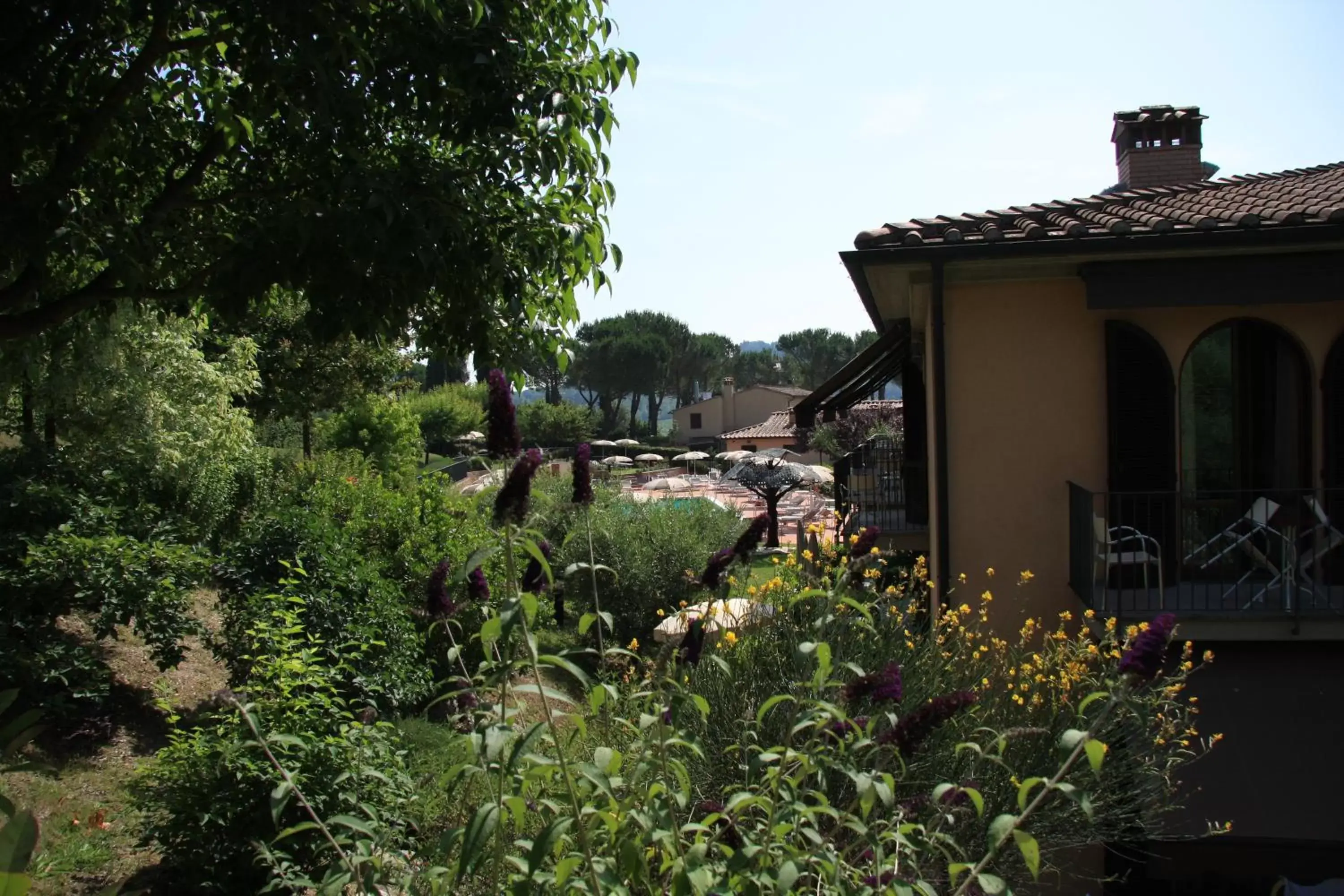 View (from property/room), Garden in Hotel Sovestro