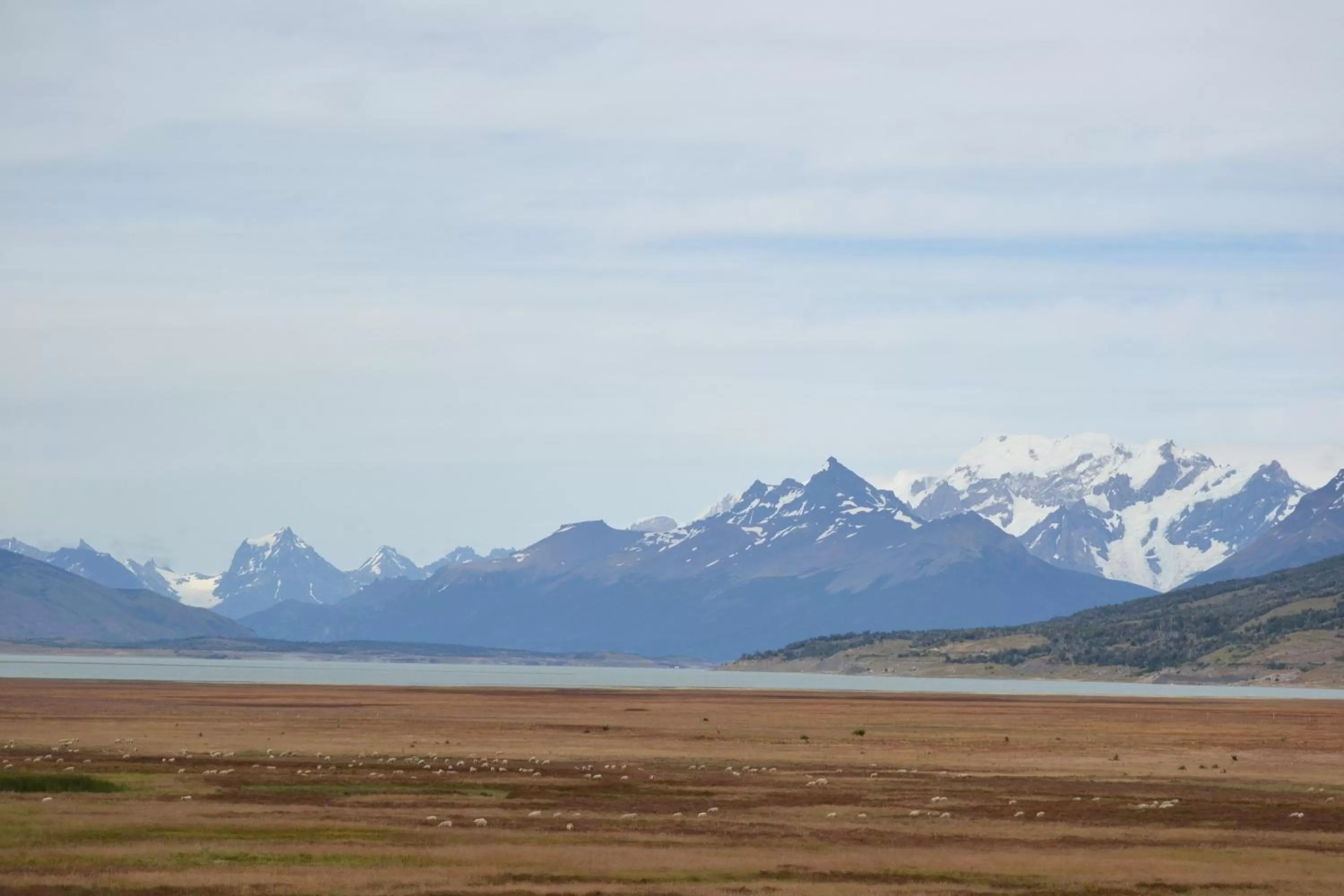Natural landscape in MadreTierra Patagonia